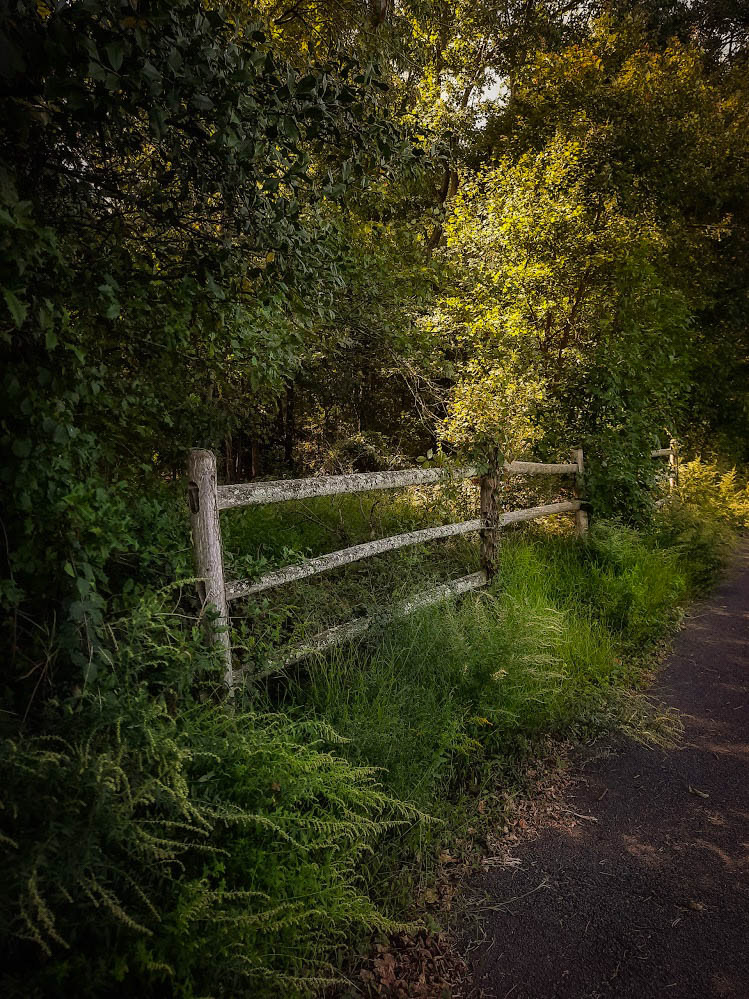 An old fence in Oak Ridge Park.