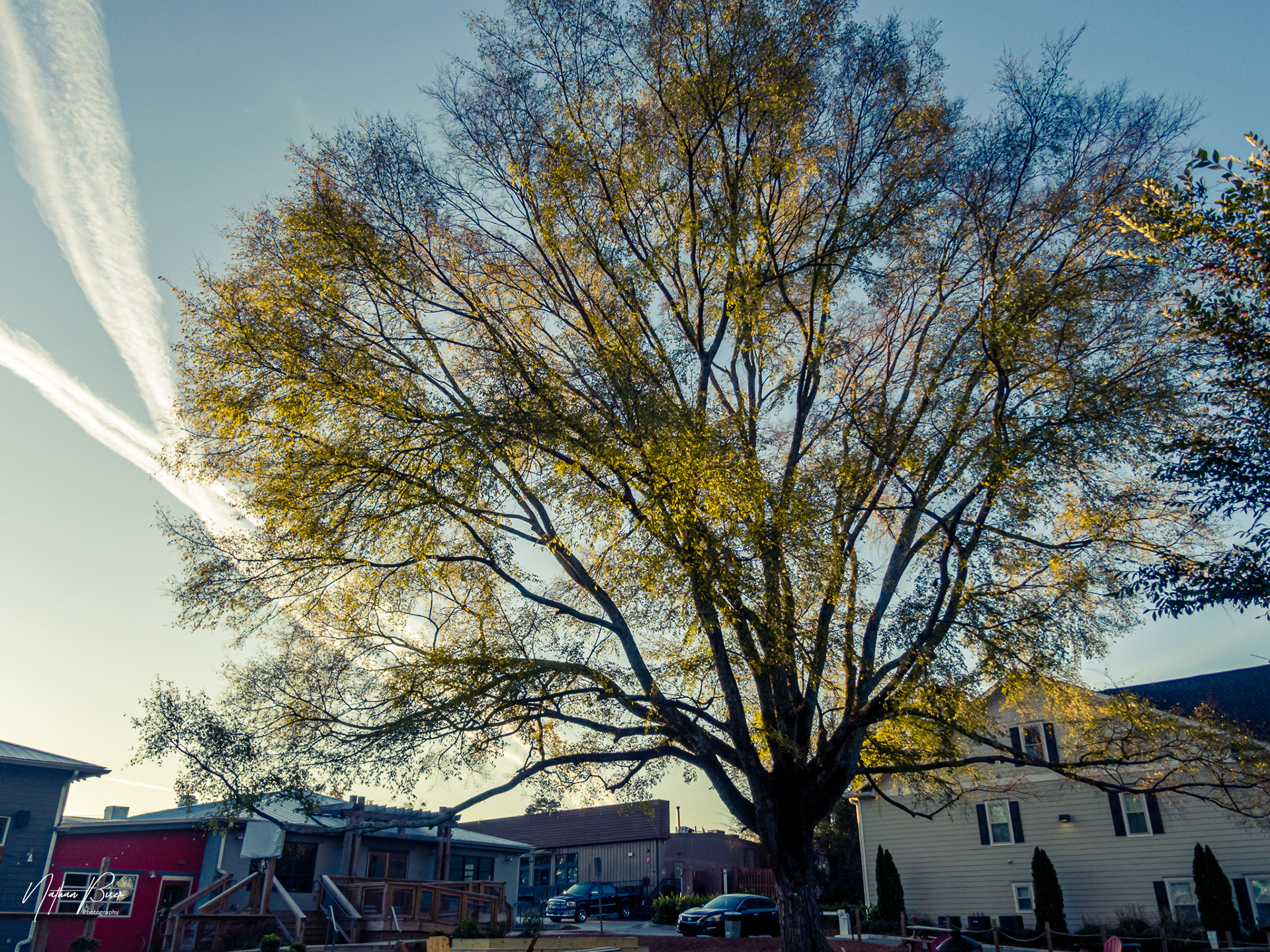 Big Beautiful next to Reformation Brewery in Woodstock, GA