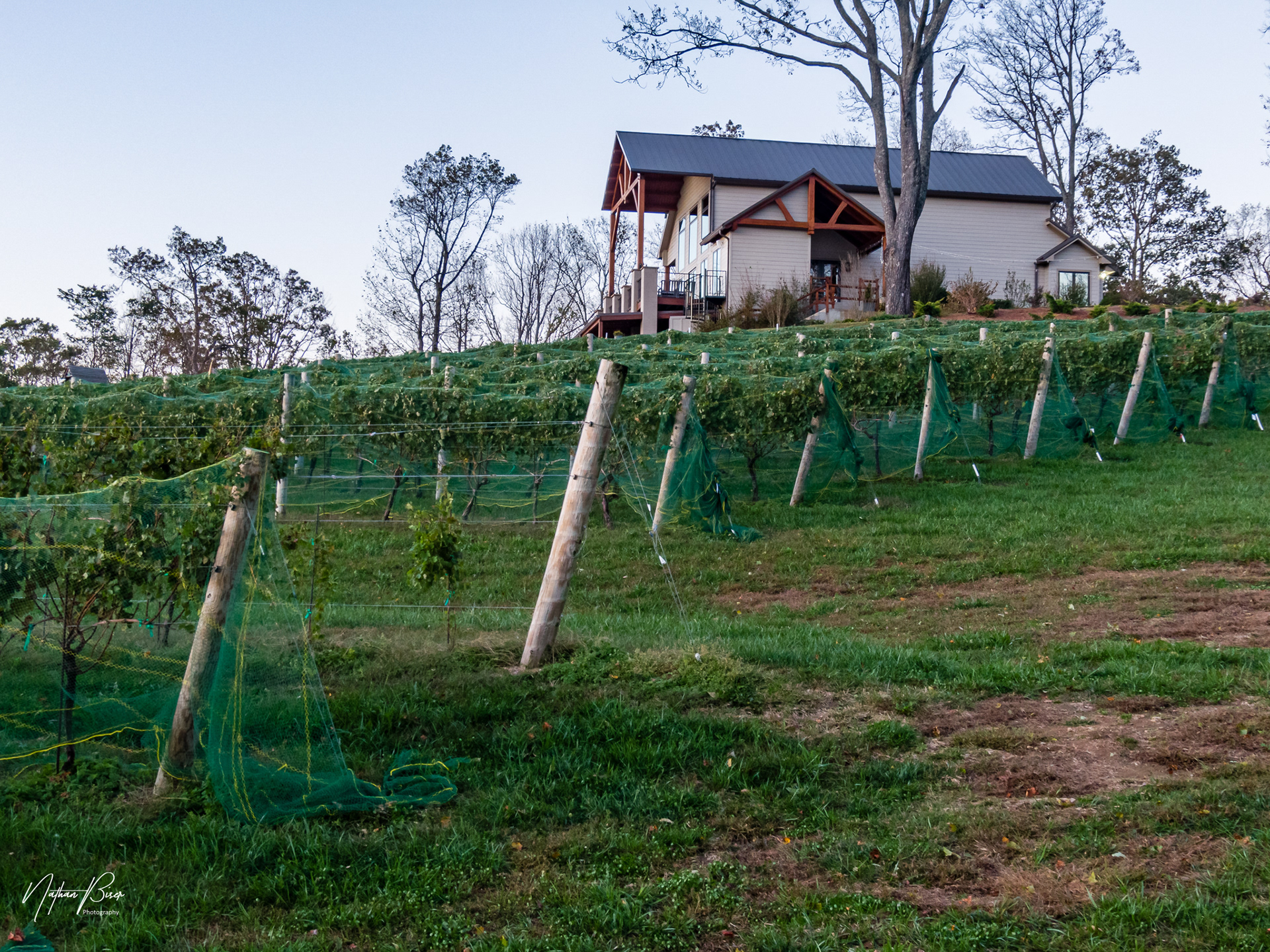 Fainting Goat Vineyard in Jasper, GA