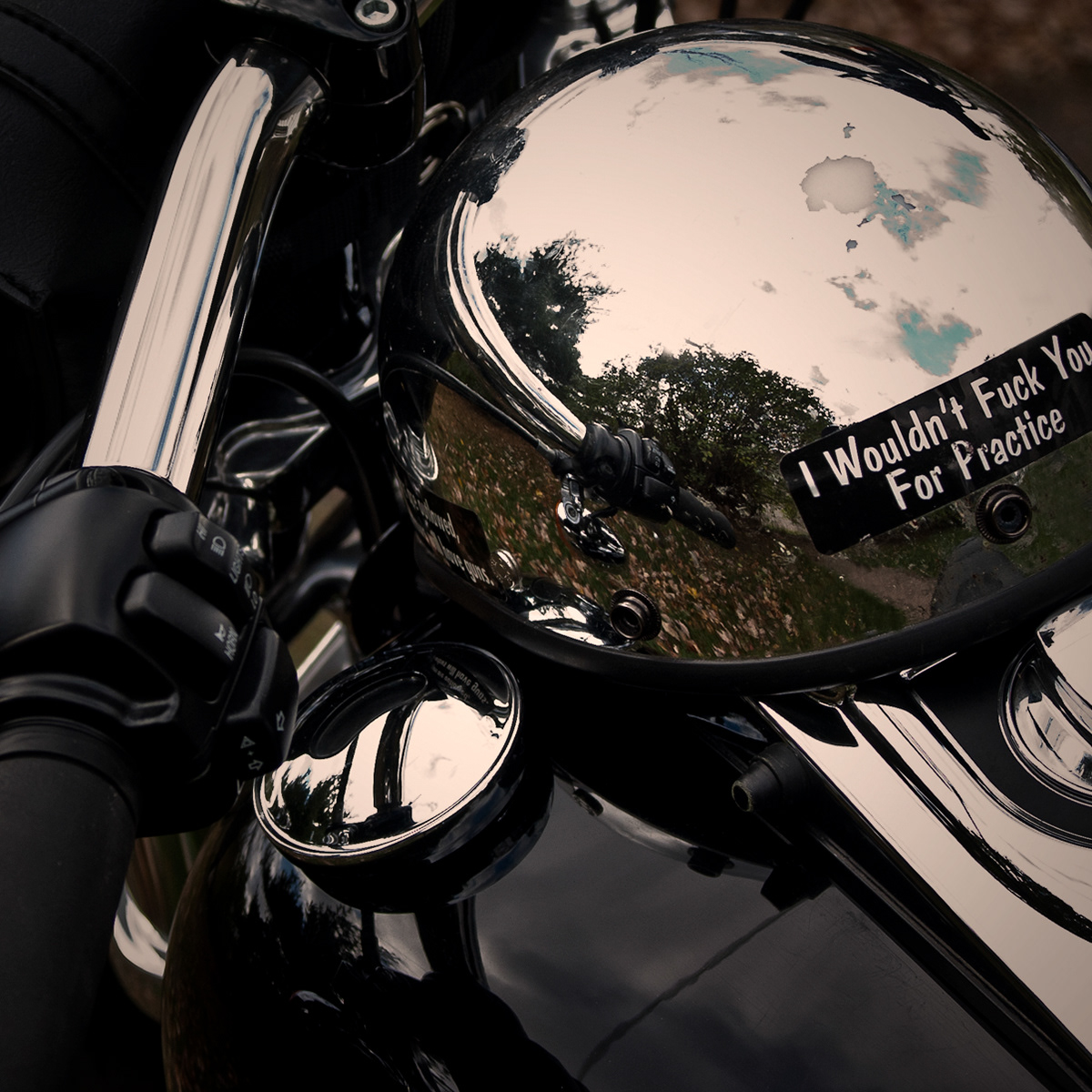 Cowbike Series: Image 8 