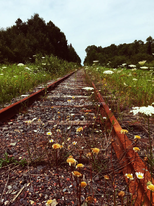 Tracks of a Distant Memory