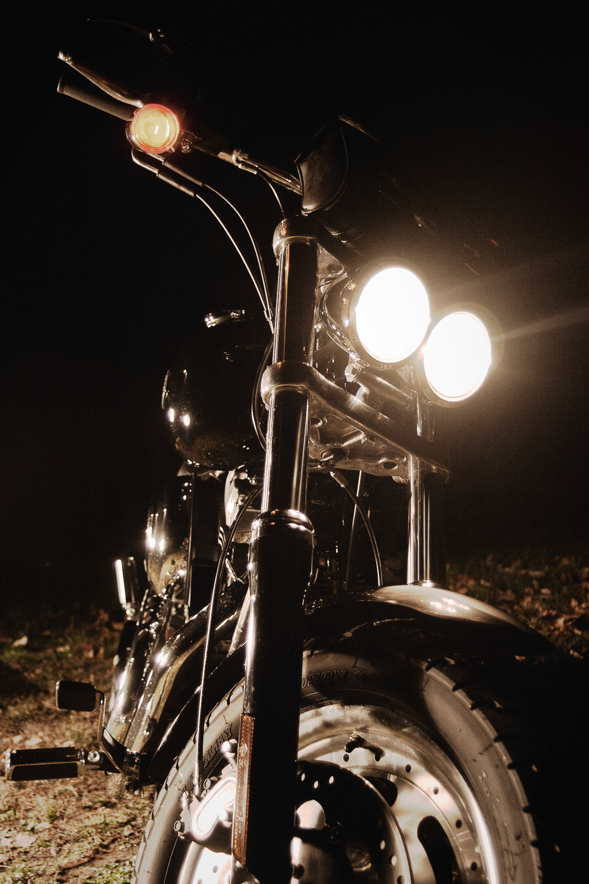 Cowbike Series: Image 3
