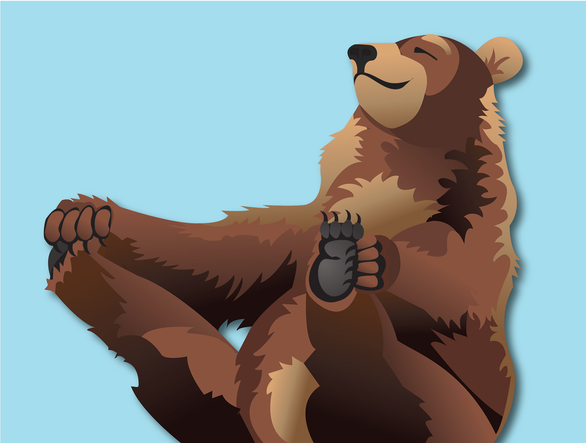 Bear Illustration