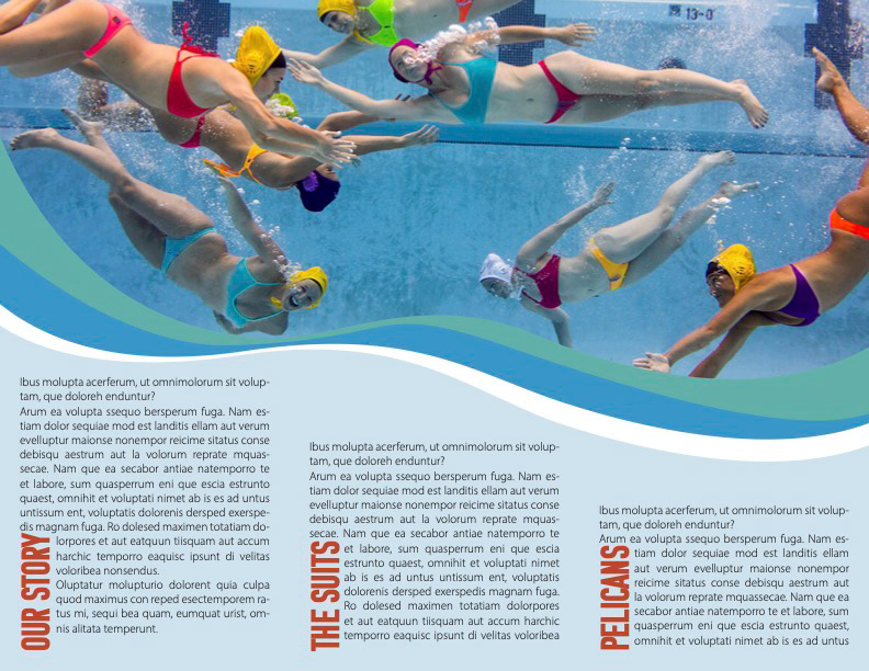 Initial brochure mockup