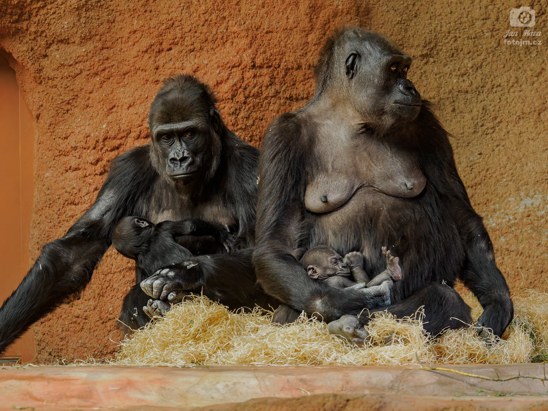 Duni s Mobi a Kijivu s Gaiou