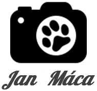 Jan Máca