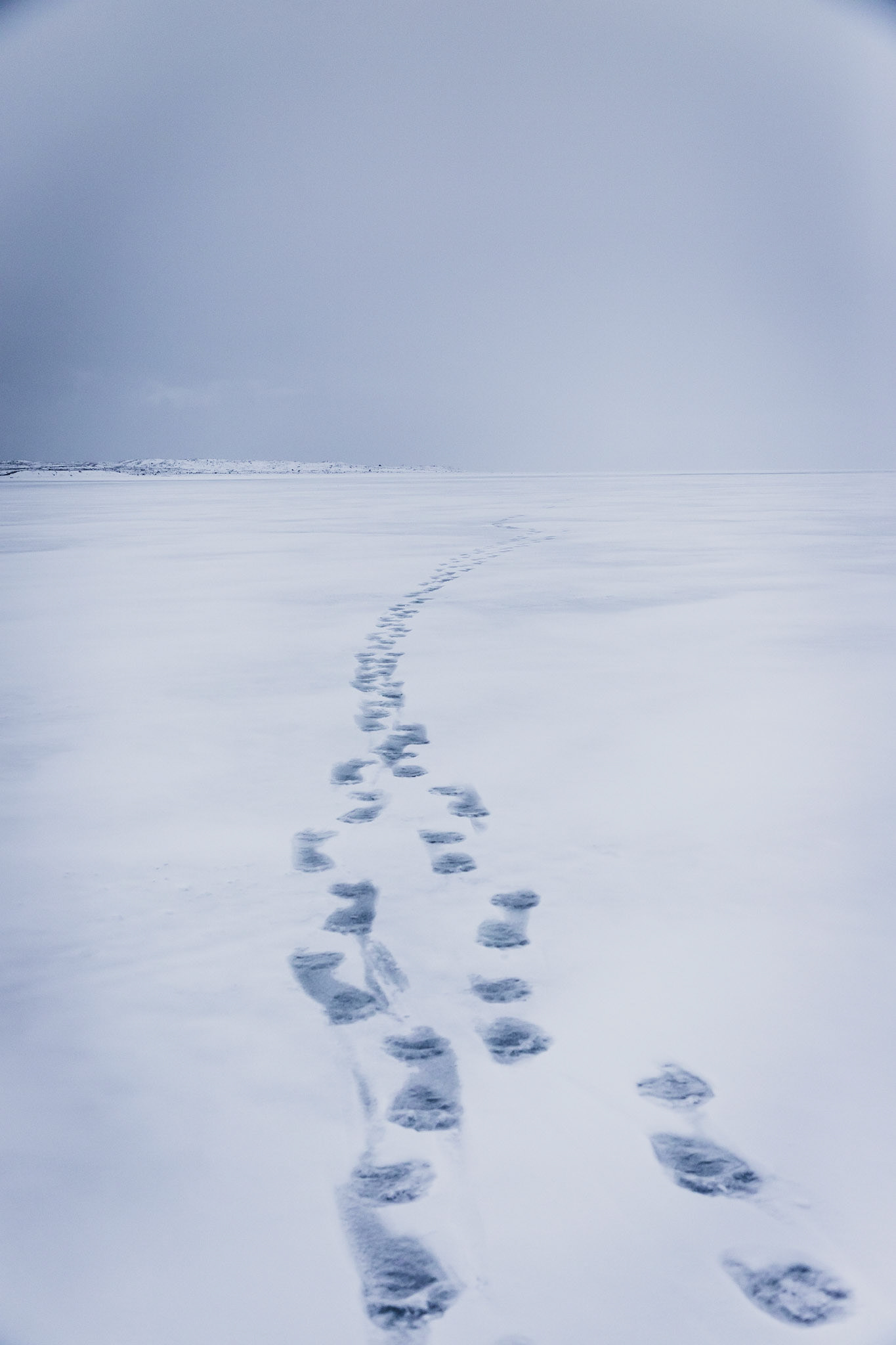 Svalbard
