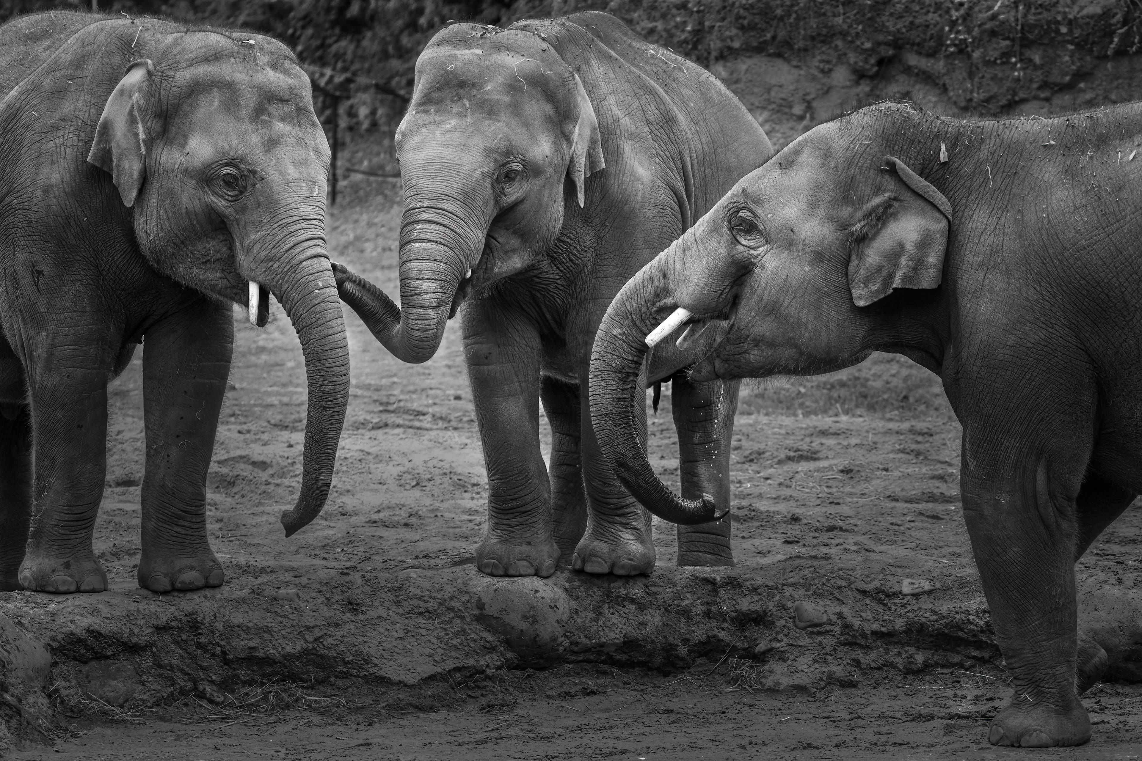 The power of friendship