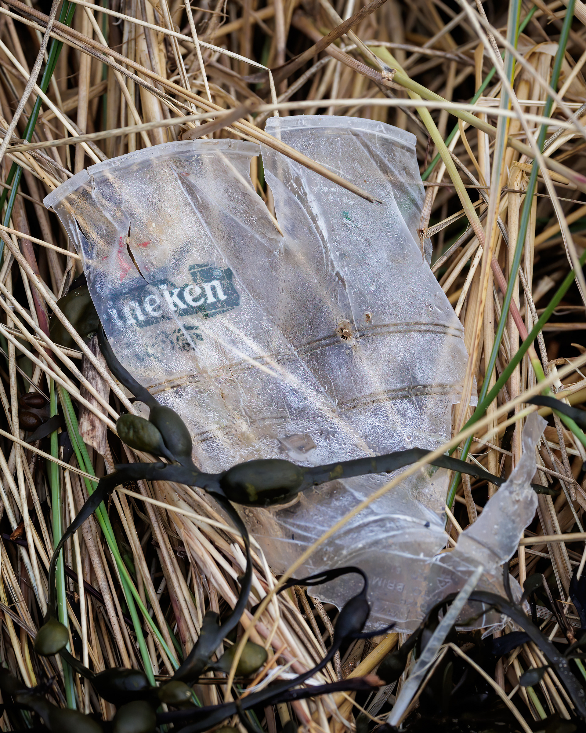 The big brand leaves its mark too.