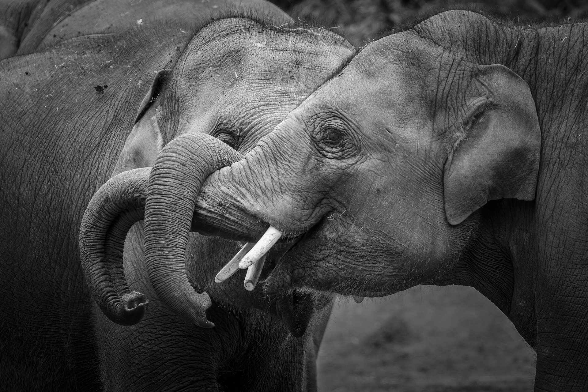 Hugs come in many ways