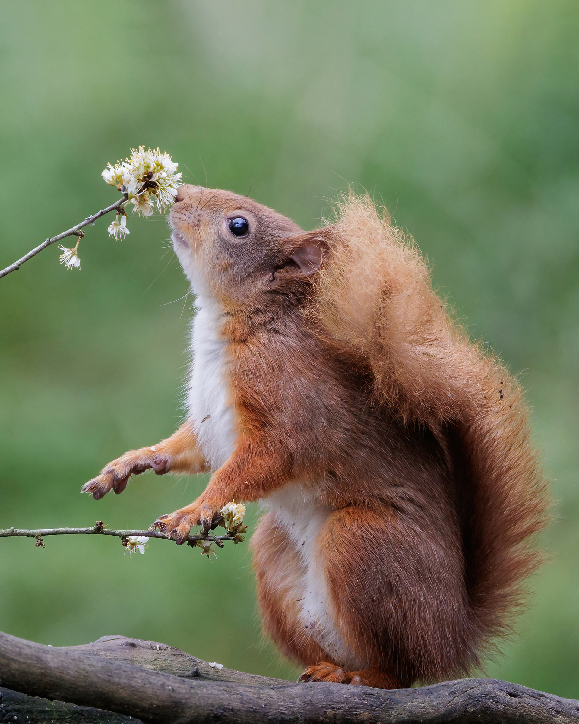 Take the time to smell the flowers