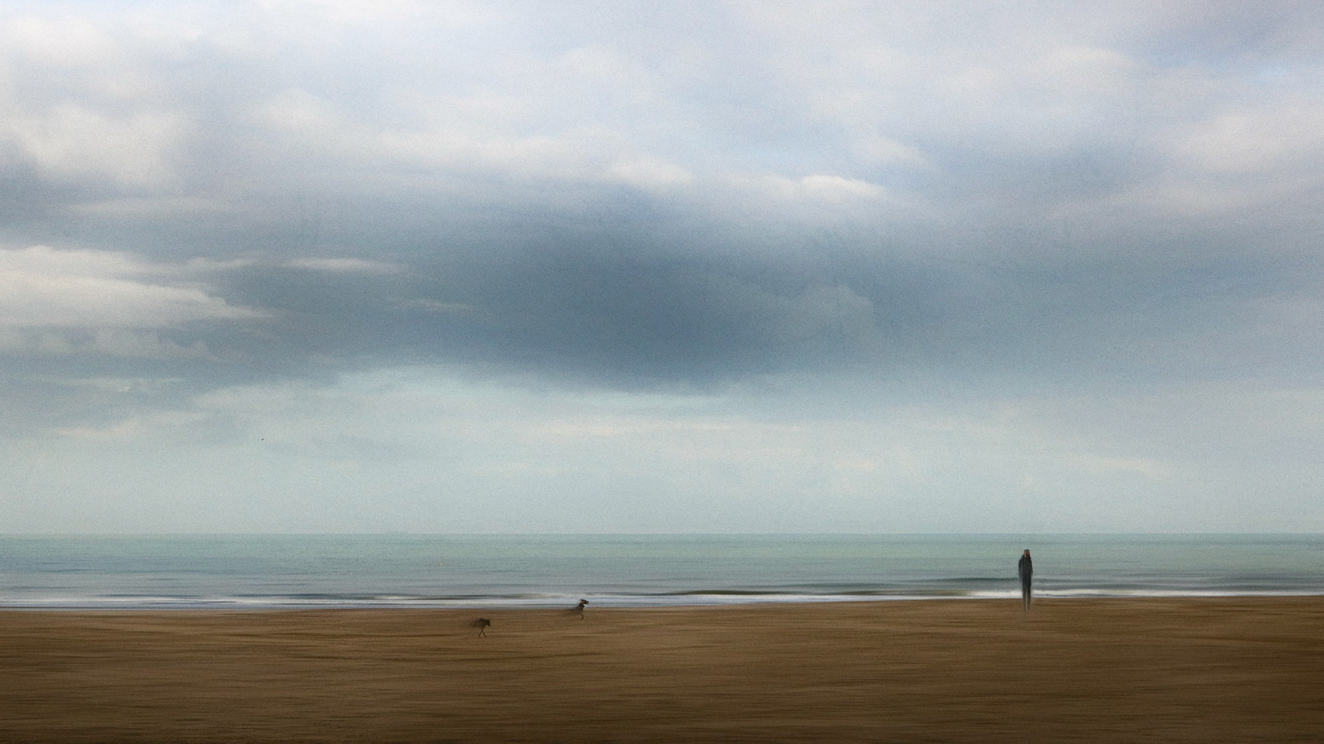 🇧🇪 Walking the dogs
