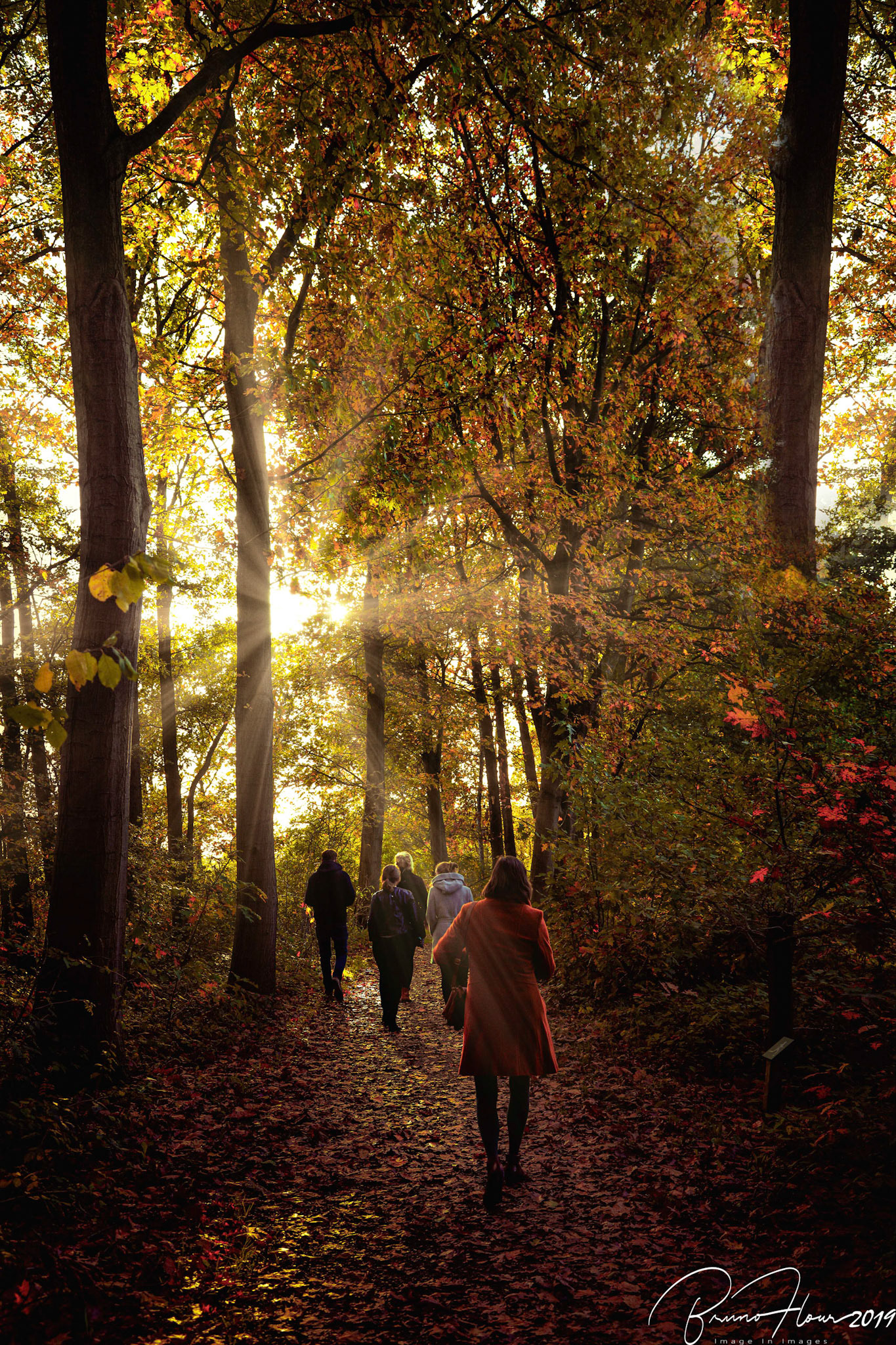 🇧🇪 Promenade Sous-Bois