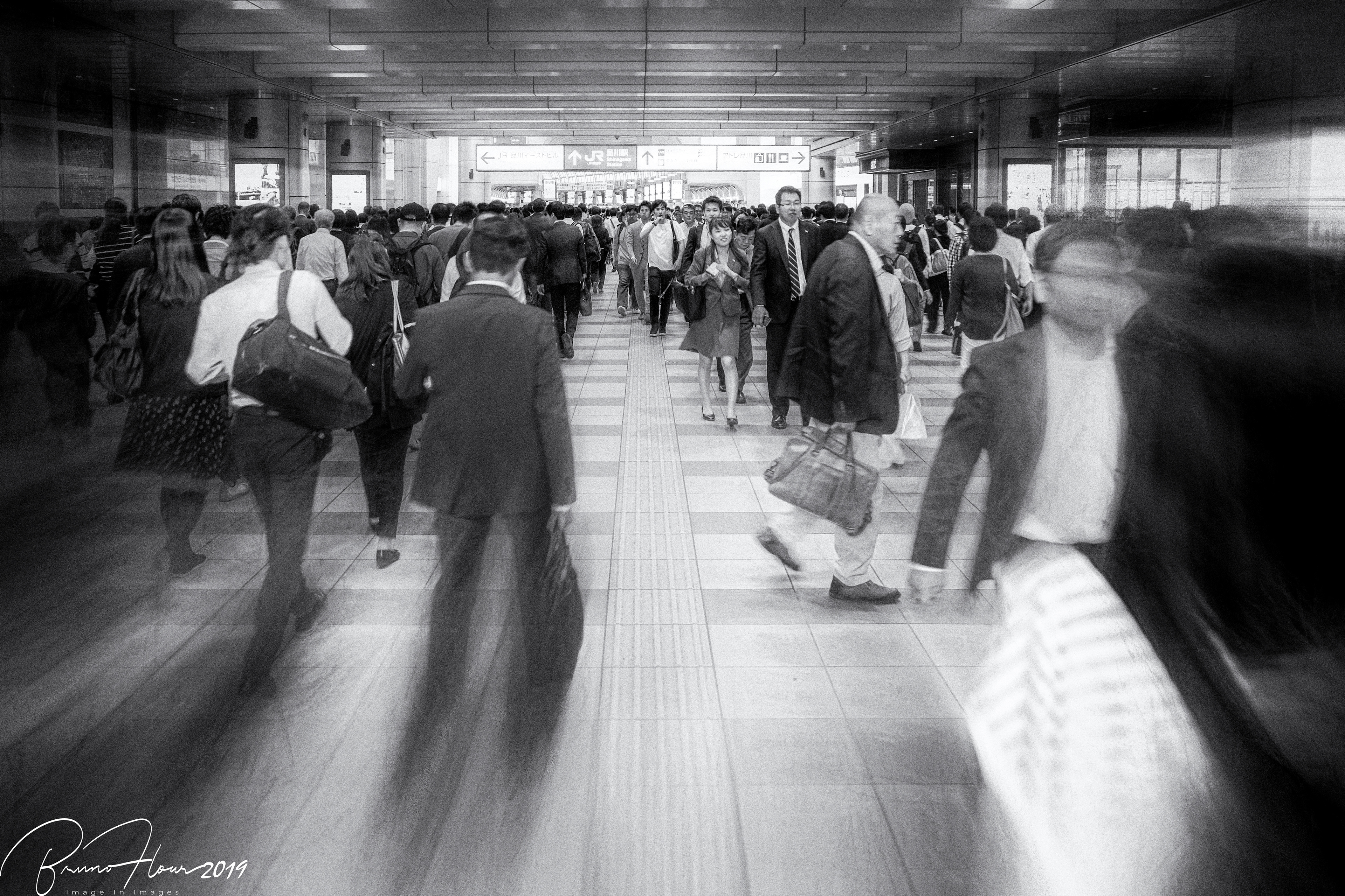 🇯🇵 Shinagawa Frenzy