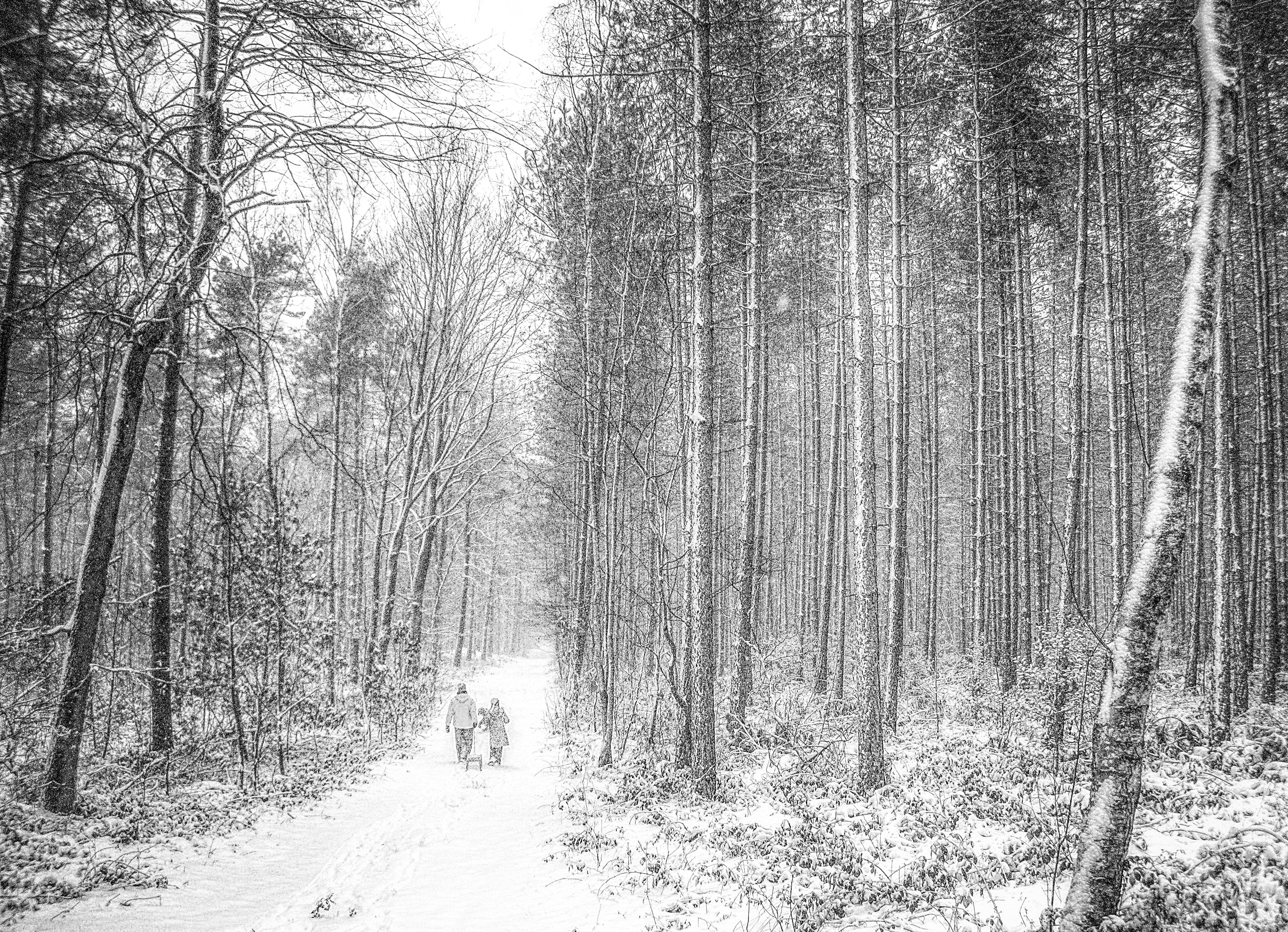 🇧🇪 Winter Tales