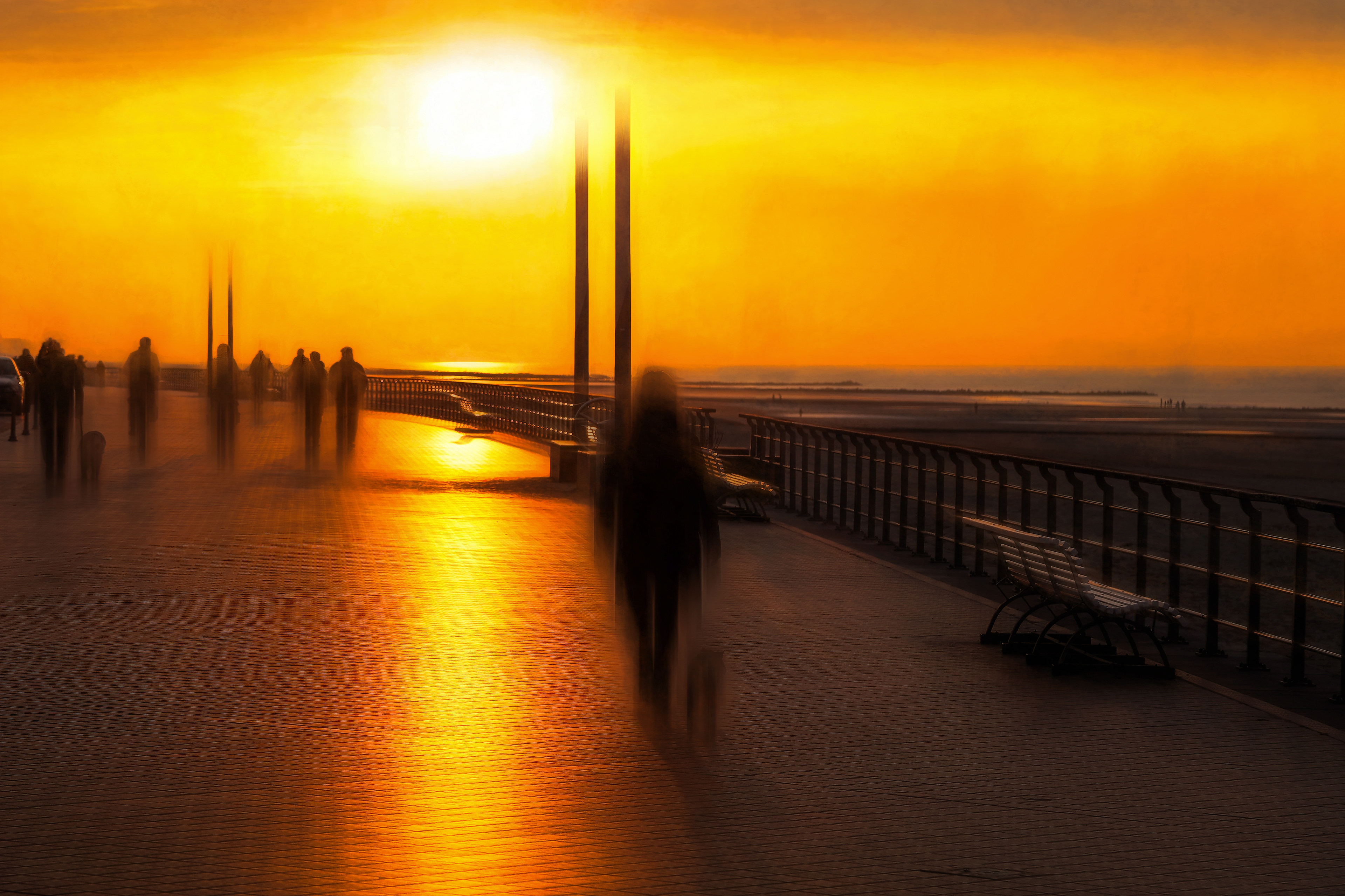 🇧🇪 The warmth of a companion