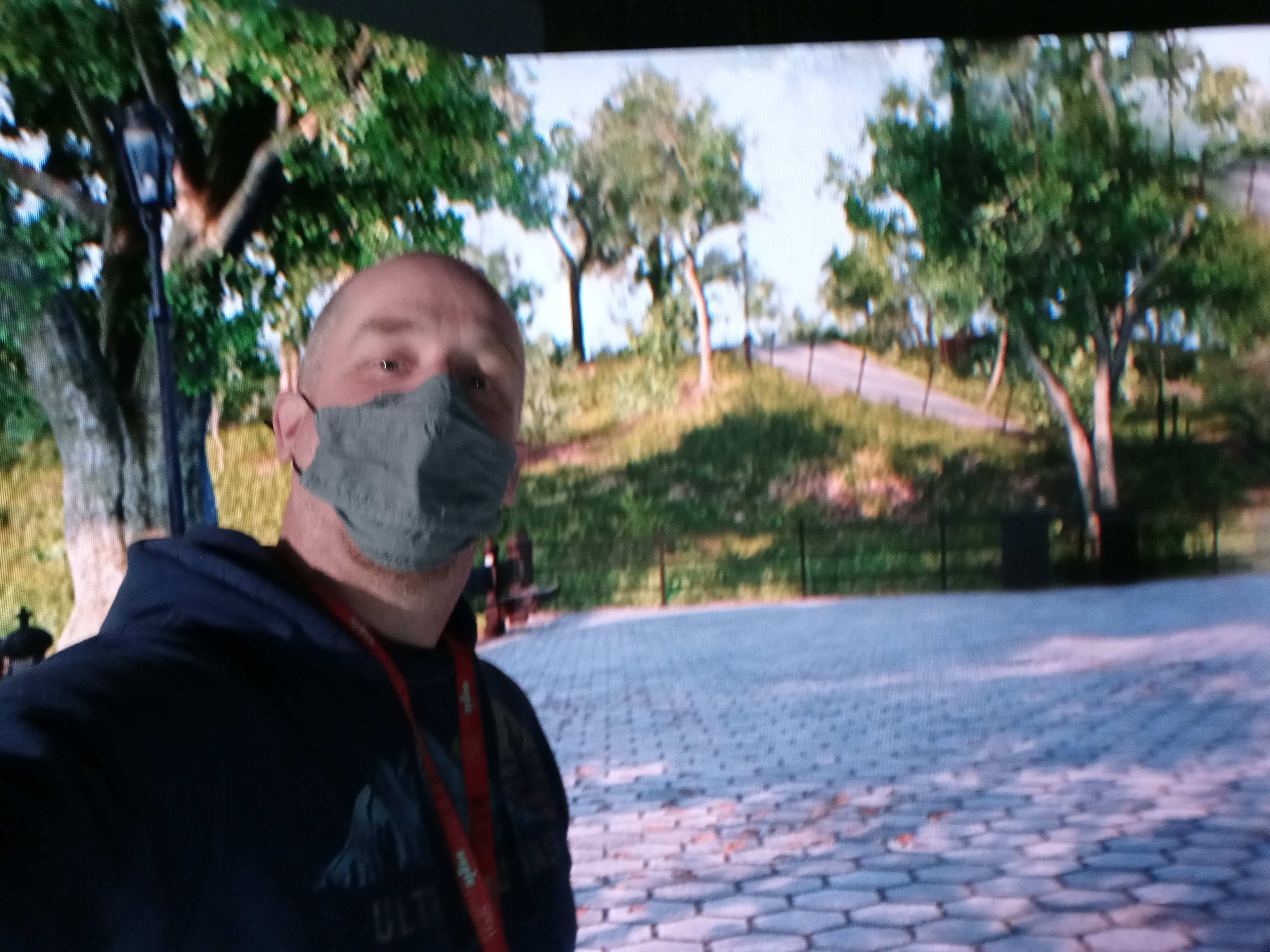 Stepping Into the Virtual Park