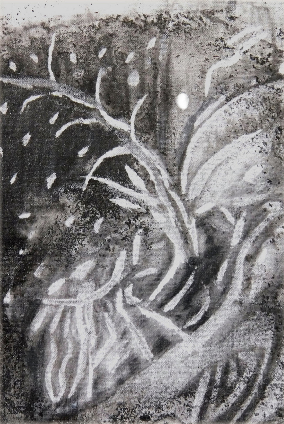 This is a caption 20 x200 cm