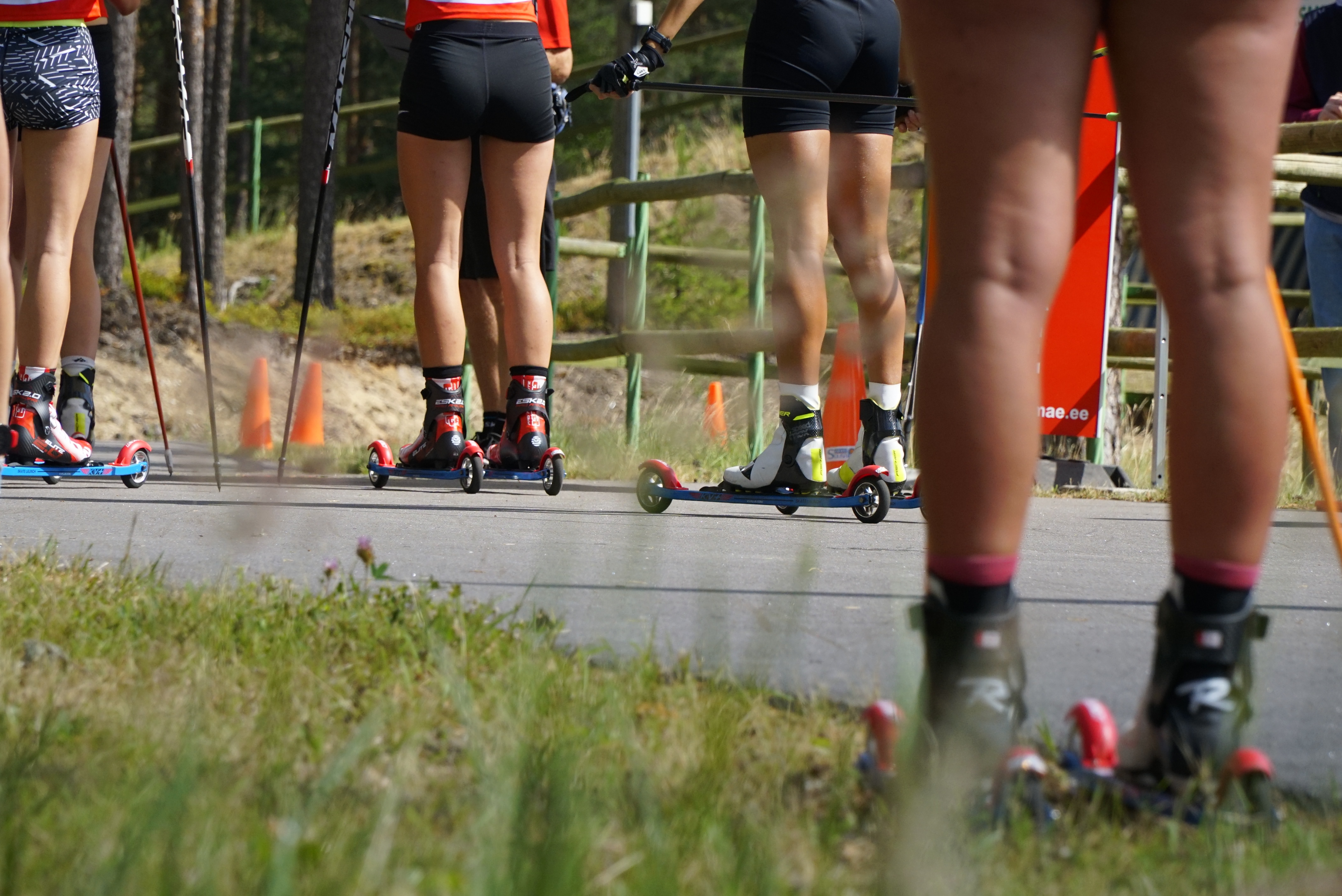 Eviko Suverull, 2020