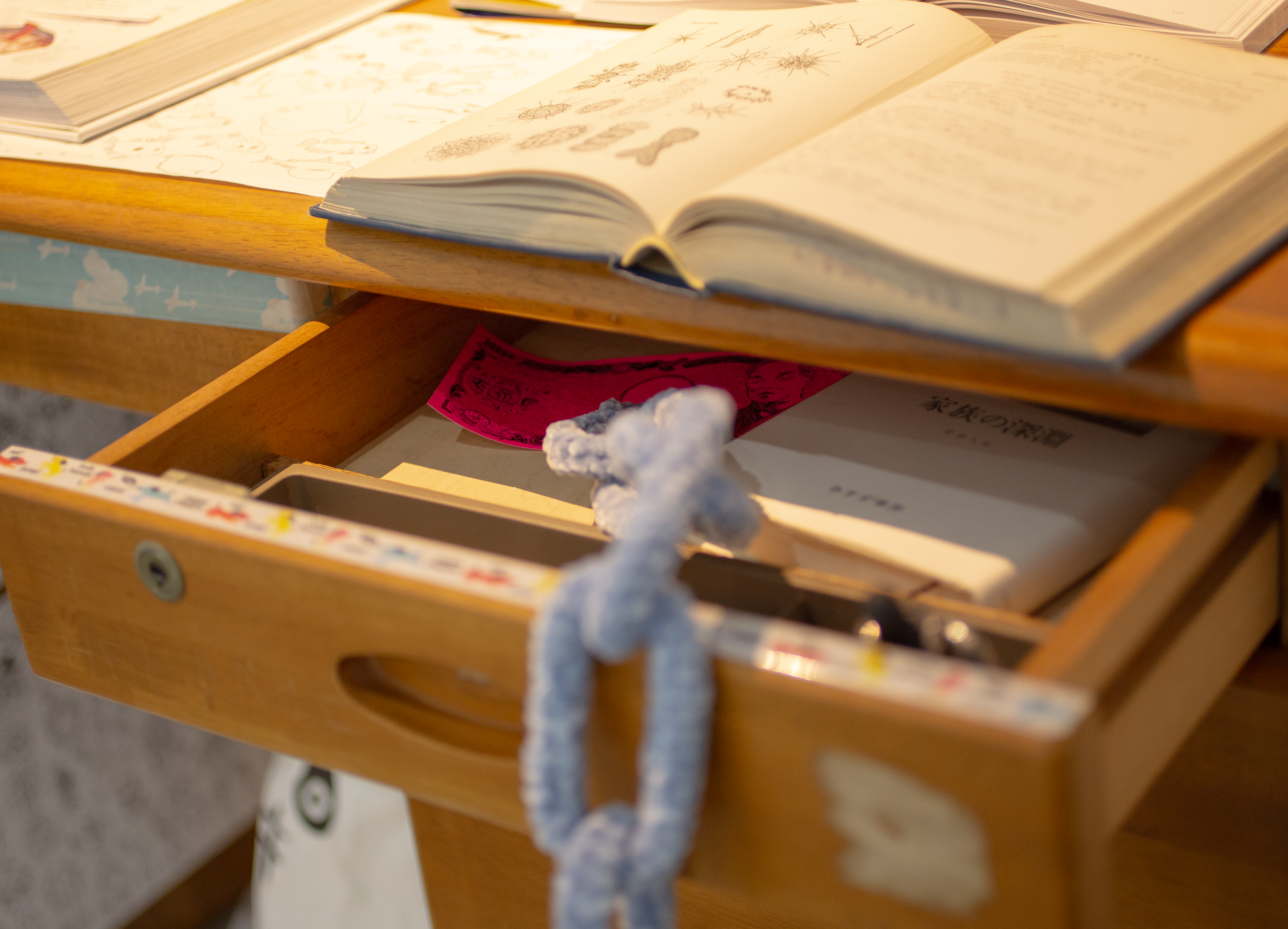 柔らかい鎖、派手な色のお金