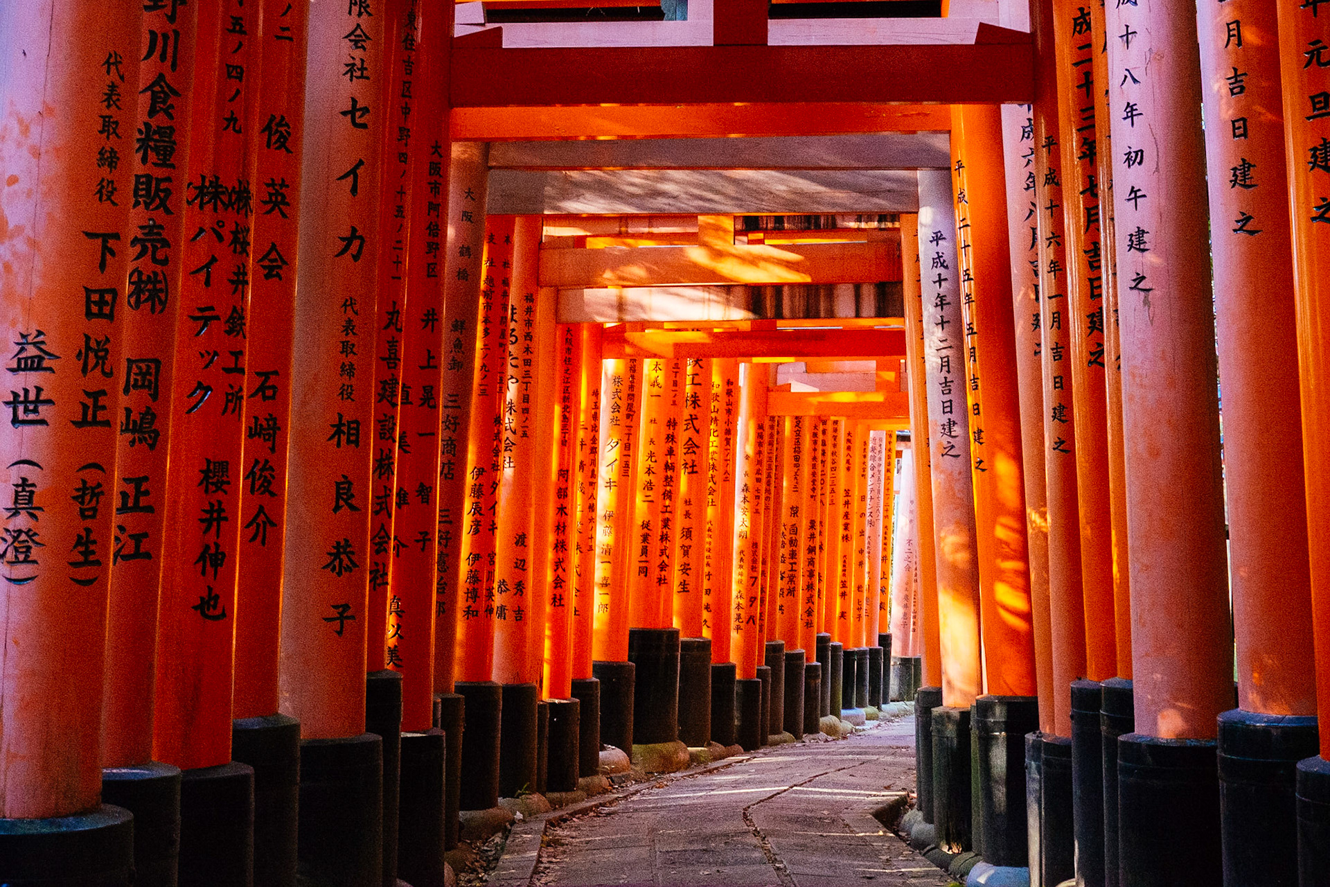 Torii à Fushimi Inari-Taisha (Kyōto)