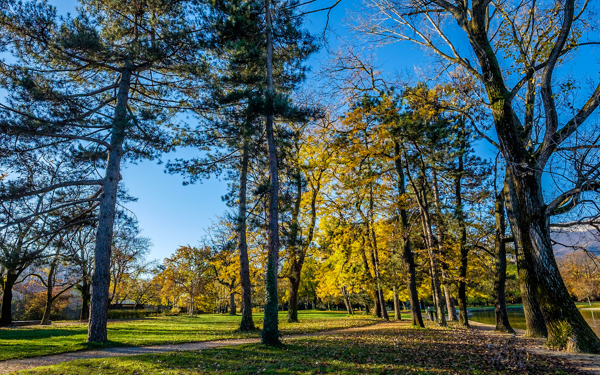 Parc des Champs Elysées