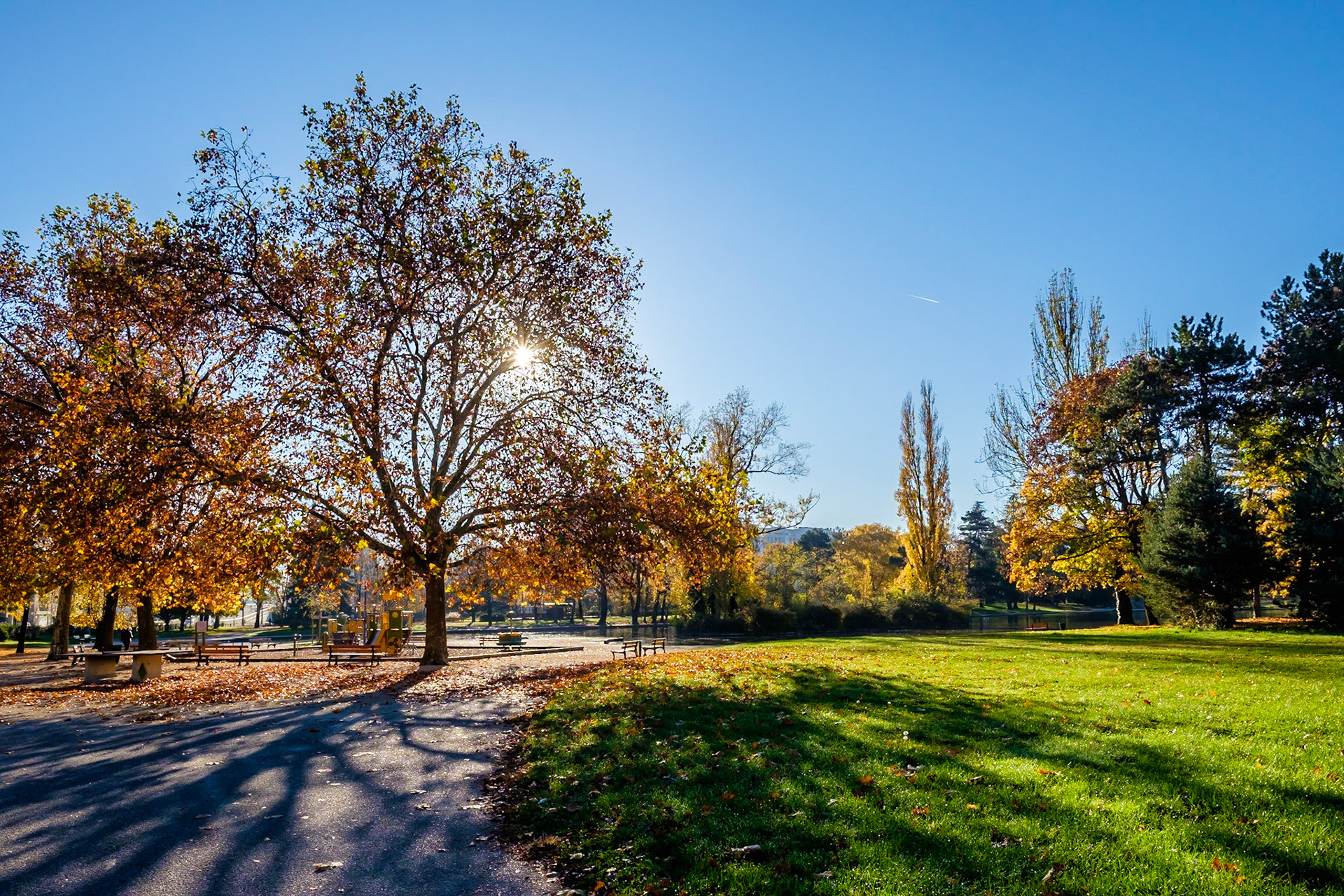 Parc des Champs Elysées