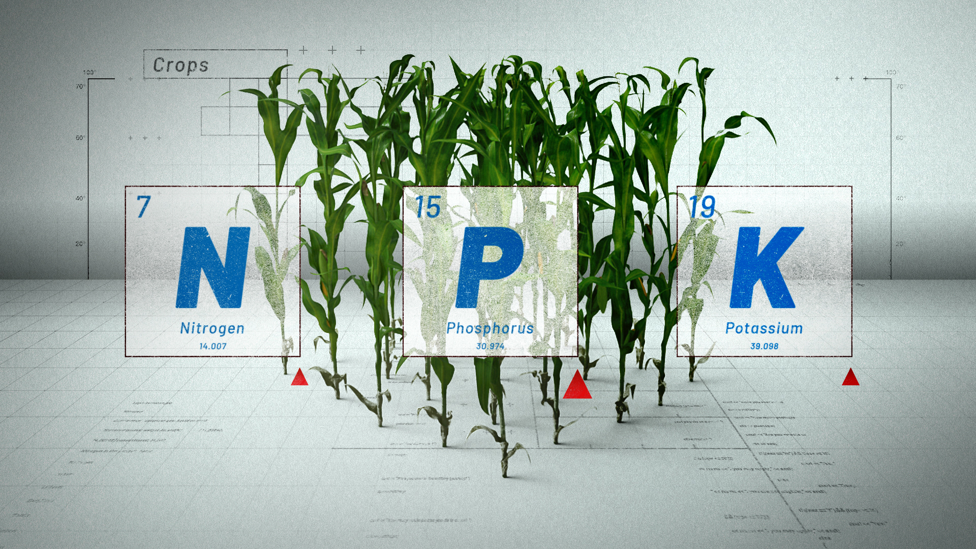 Concept 1_Explainer & Info Graphics_Frame 4
