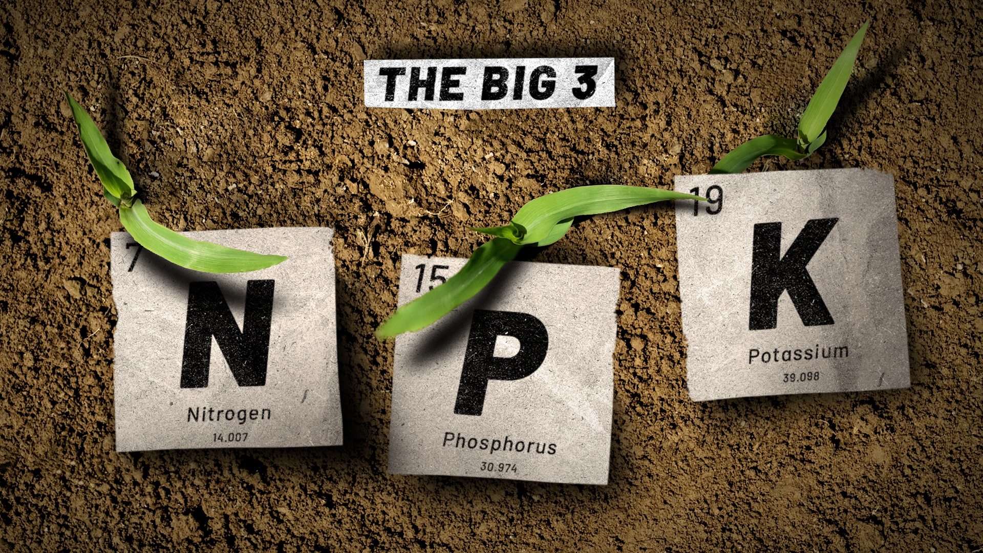 Concept 2_Explainer & Info Graphics_Frame 4