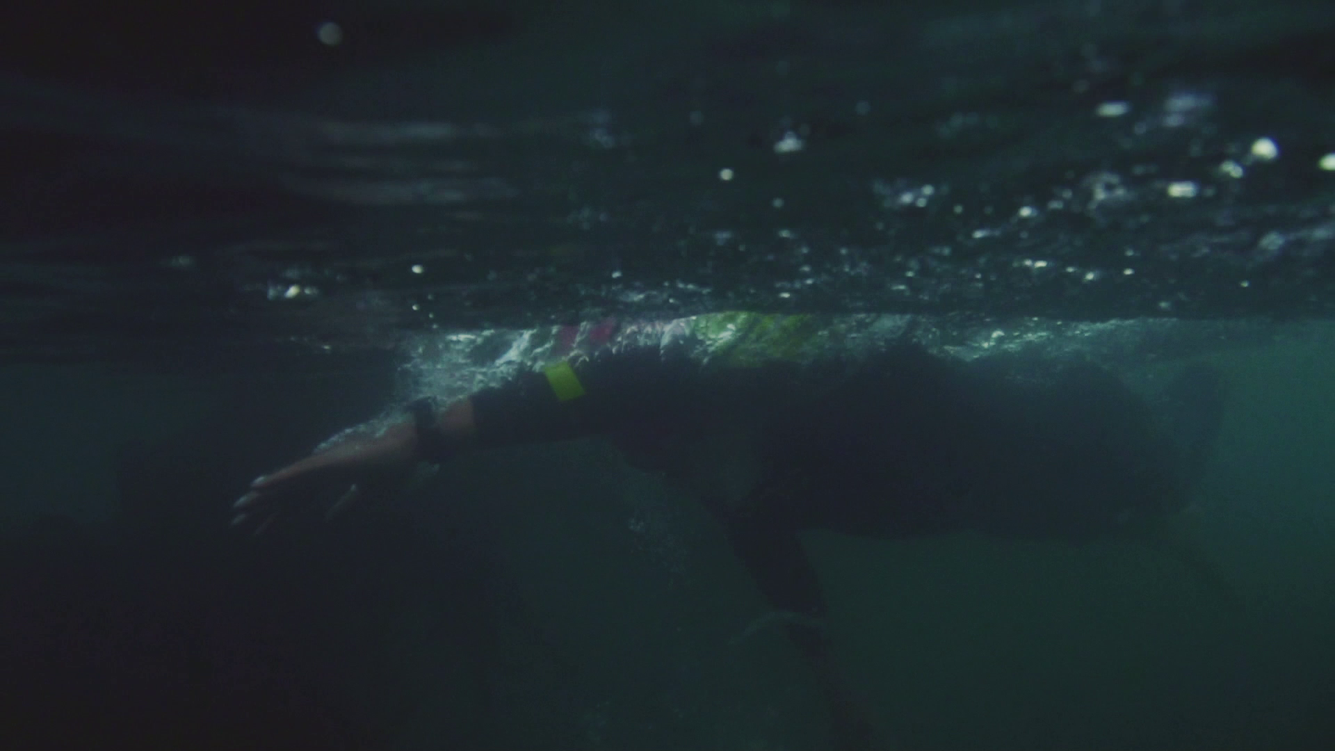 Fred, our camera operator getting the good stuff under water.