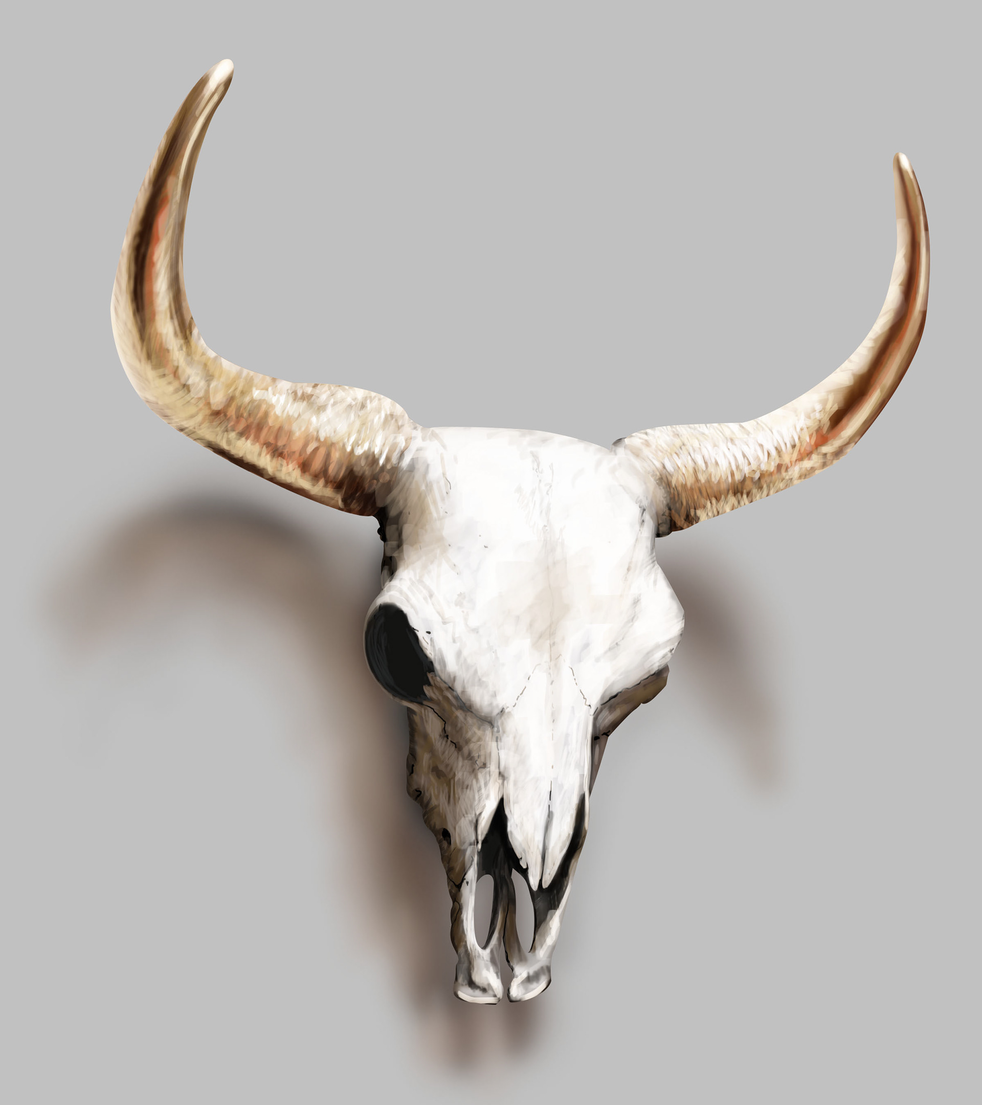Skull - Photoshop Painting