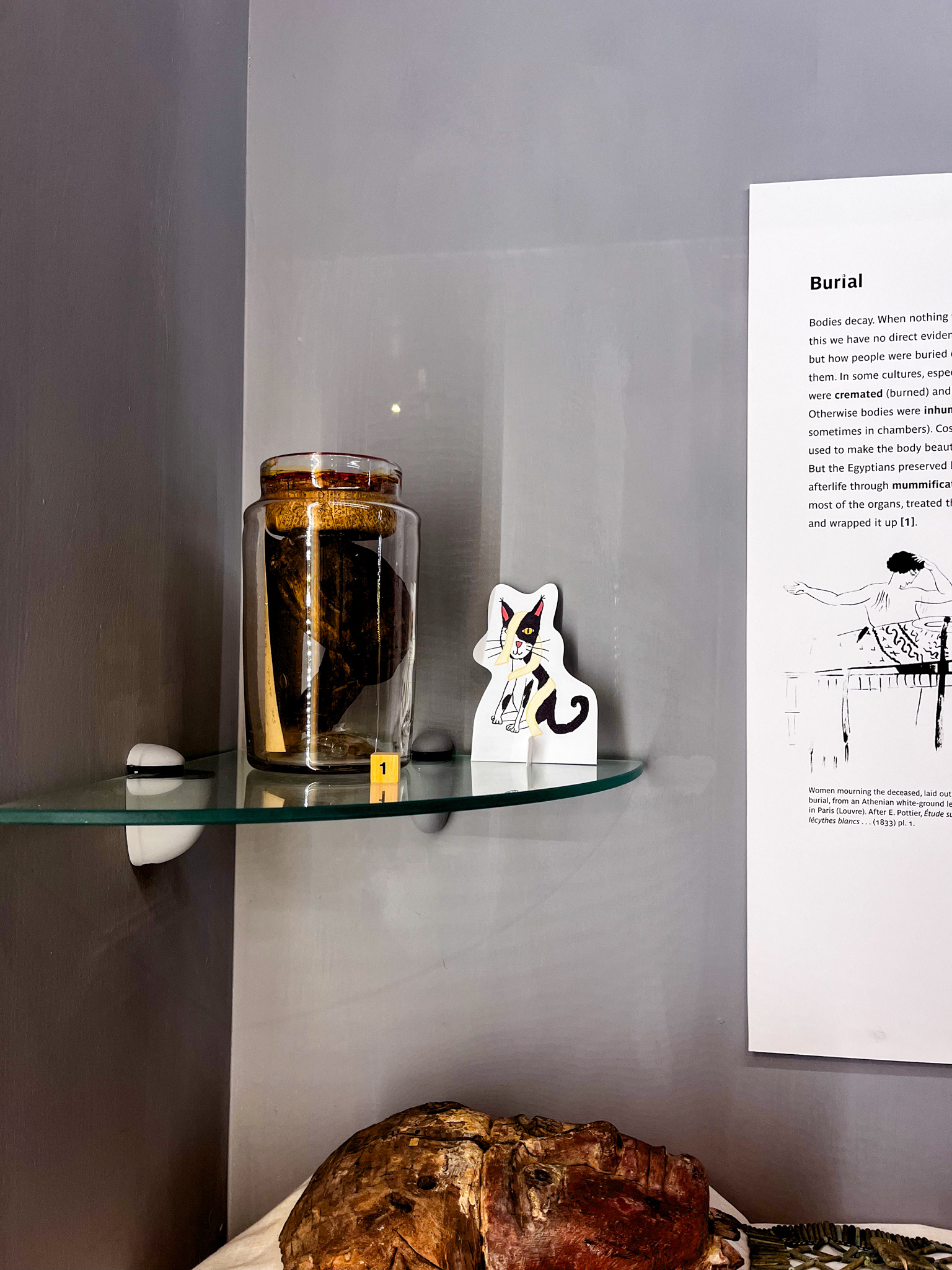 Daisy the cat mascot with cat's head exhibit