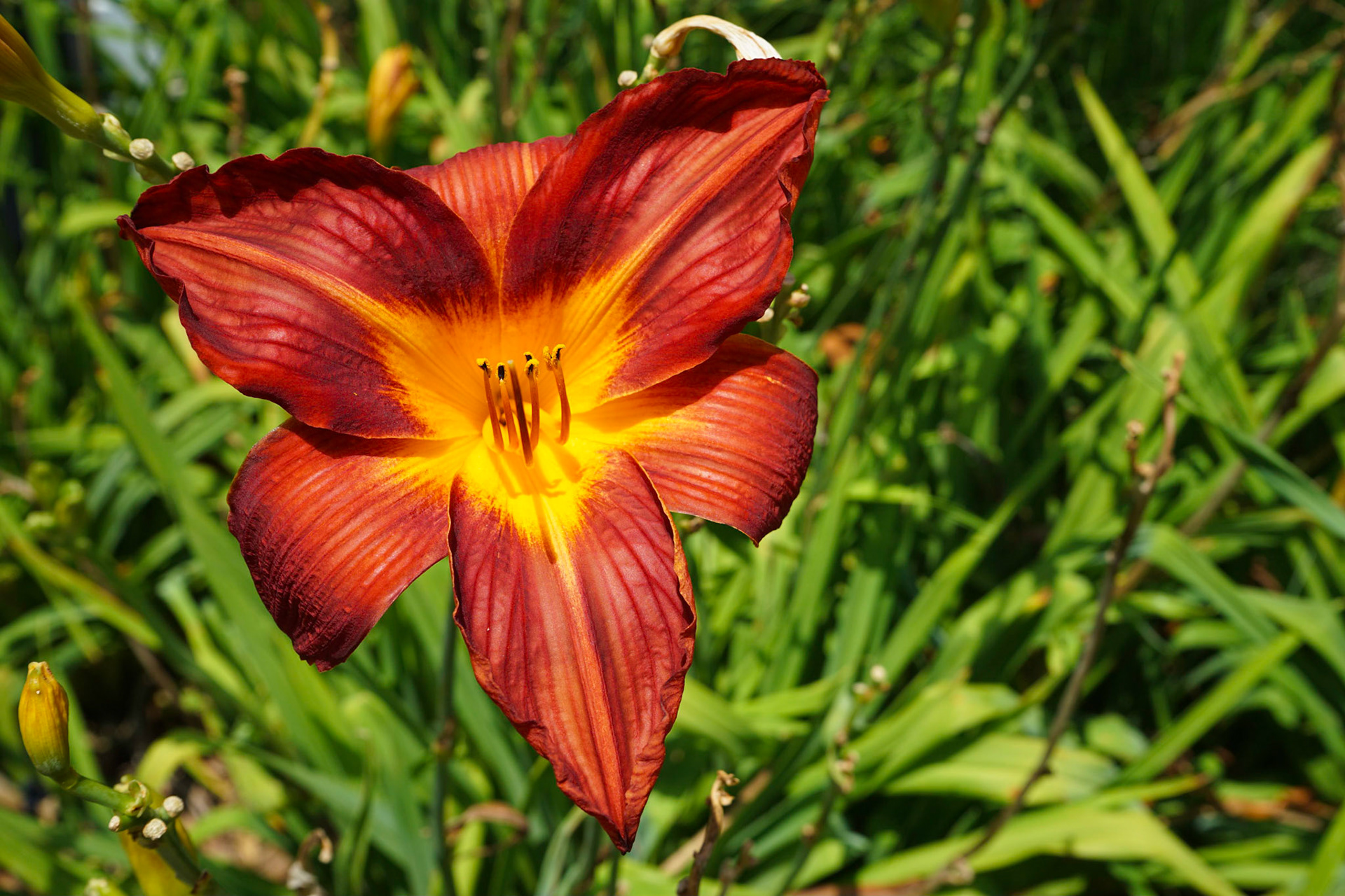 Botanical Gardens