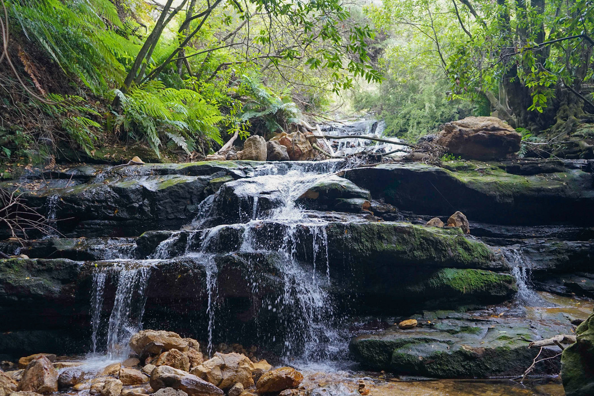 Leura Cascades