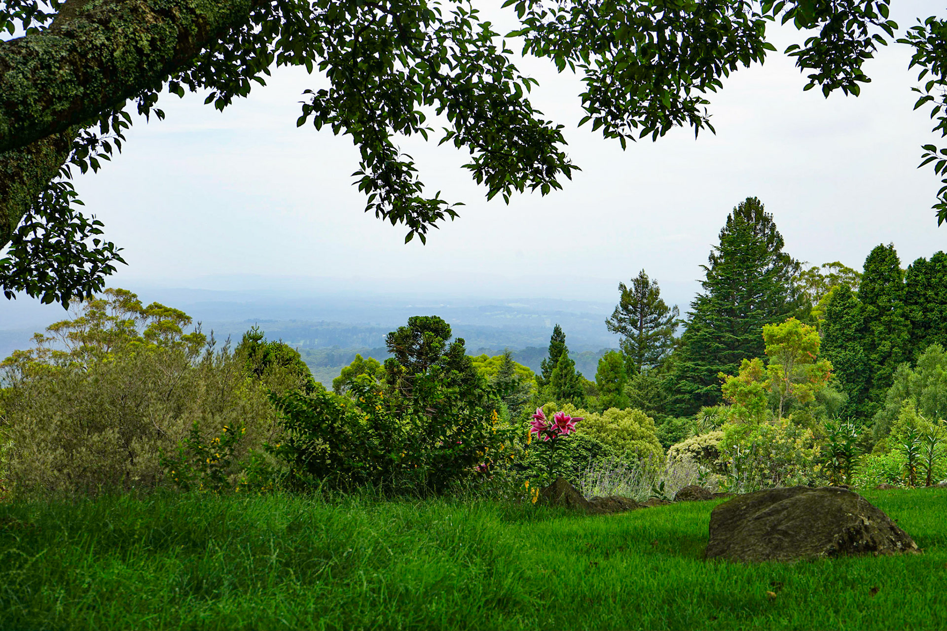 Mount Tomah
