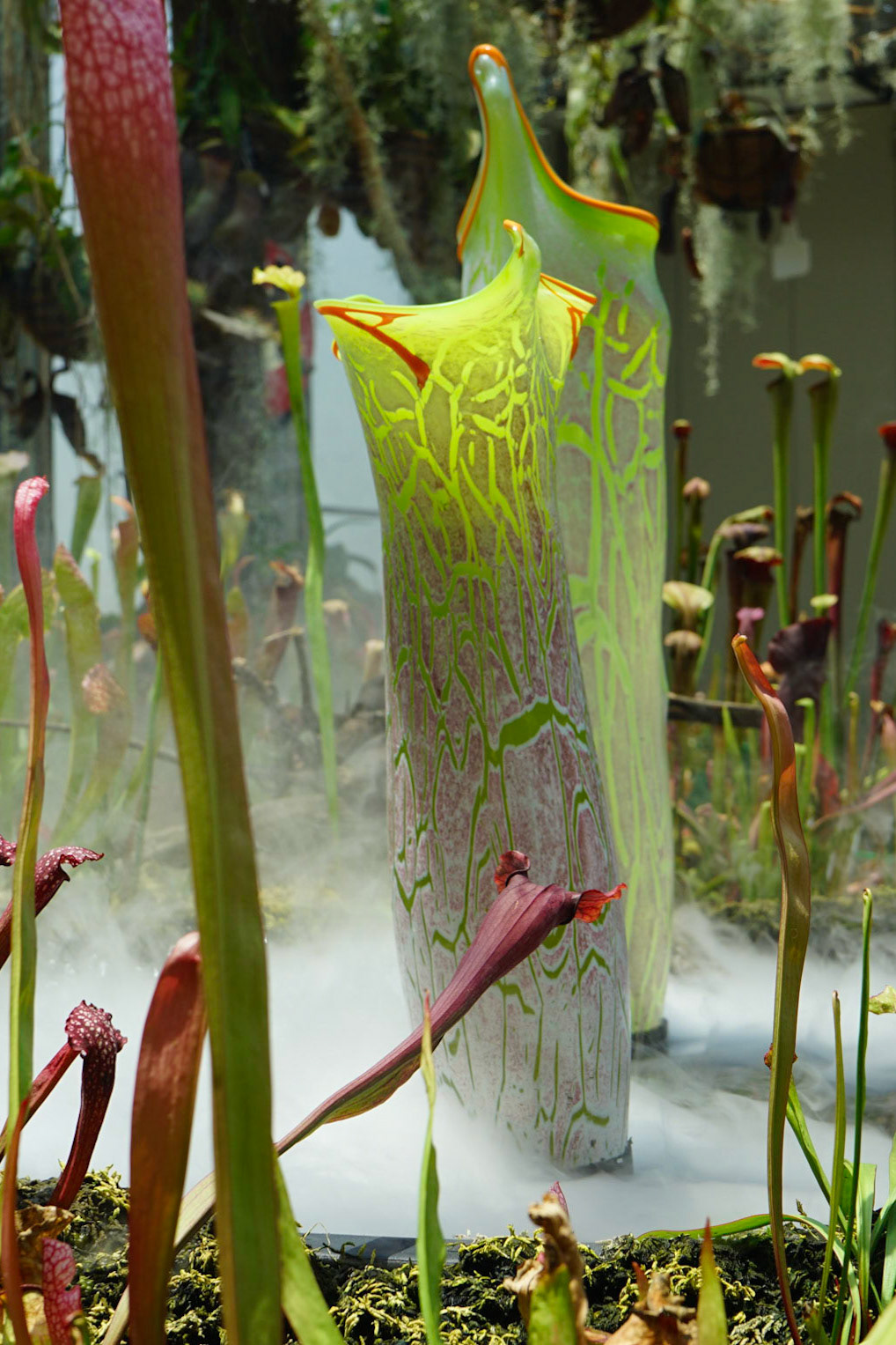 The Calyx