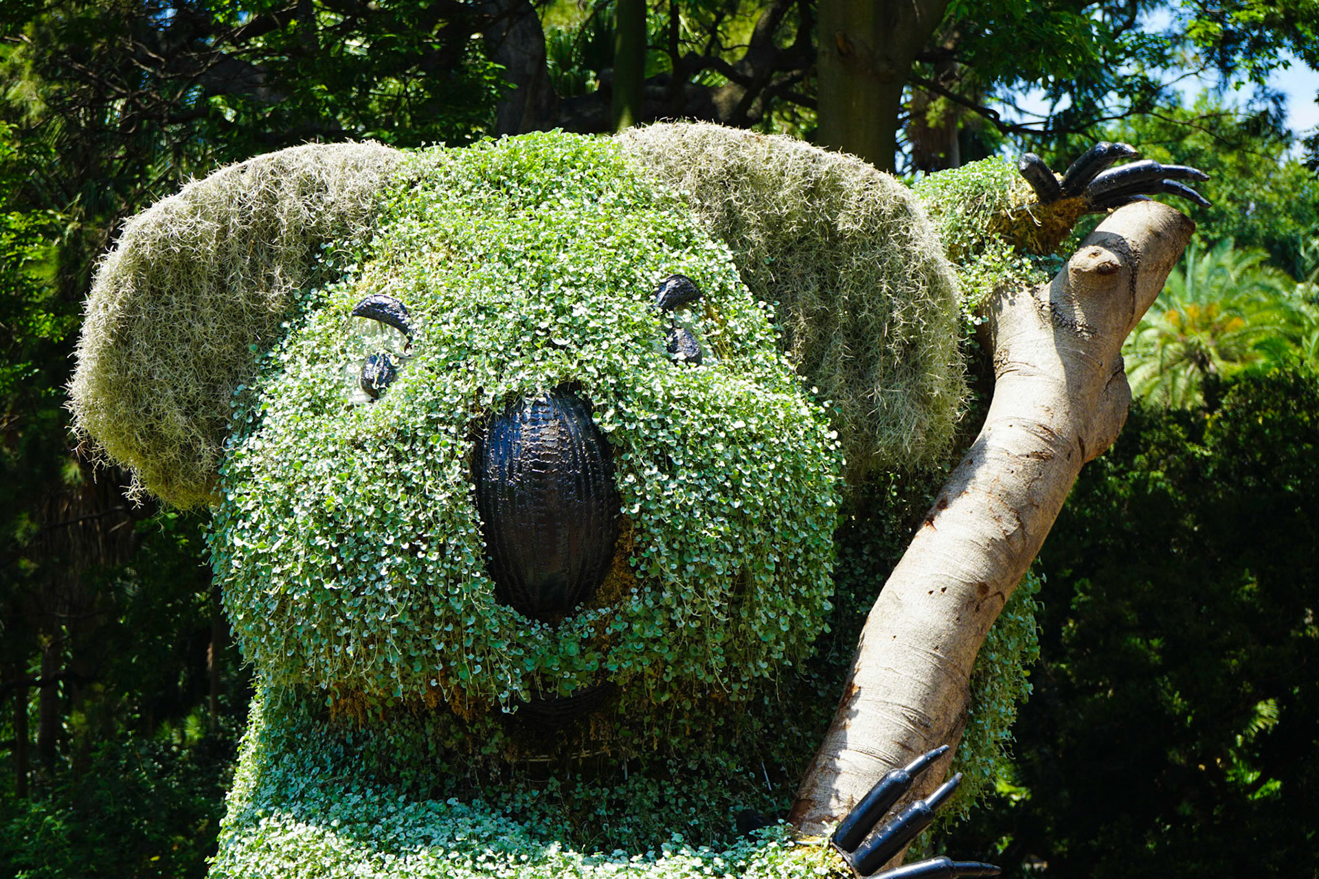 Botanical Gardens