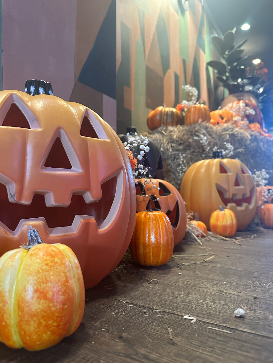Halloween x Solotel