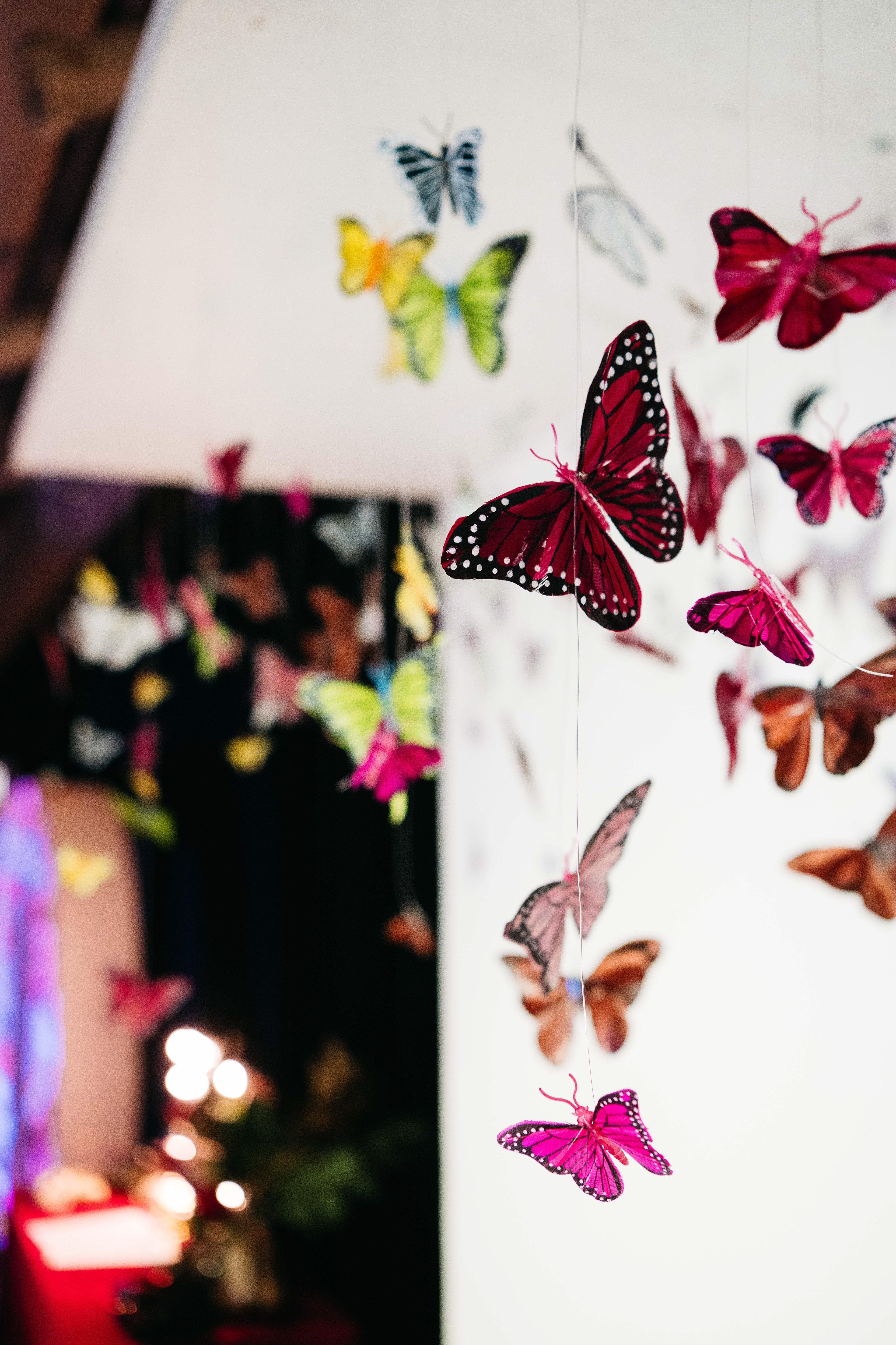 Delta Goodrem 20 Years of Innocent Eyes Tour VIP room