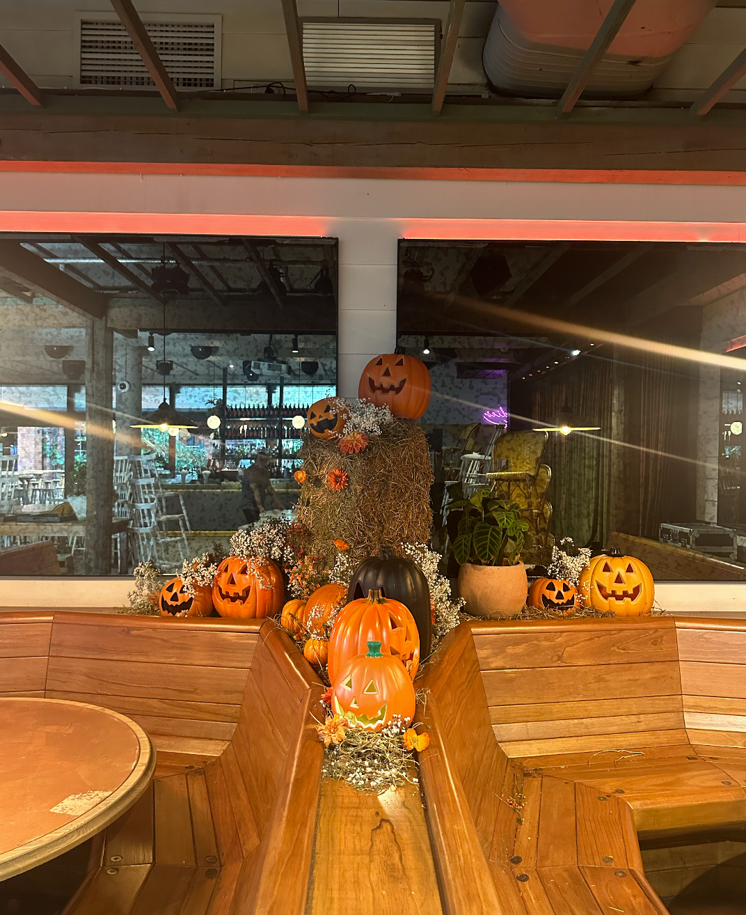 Halloween x Solotel