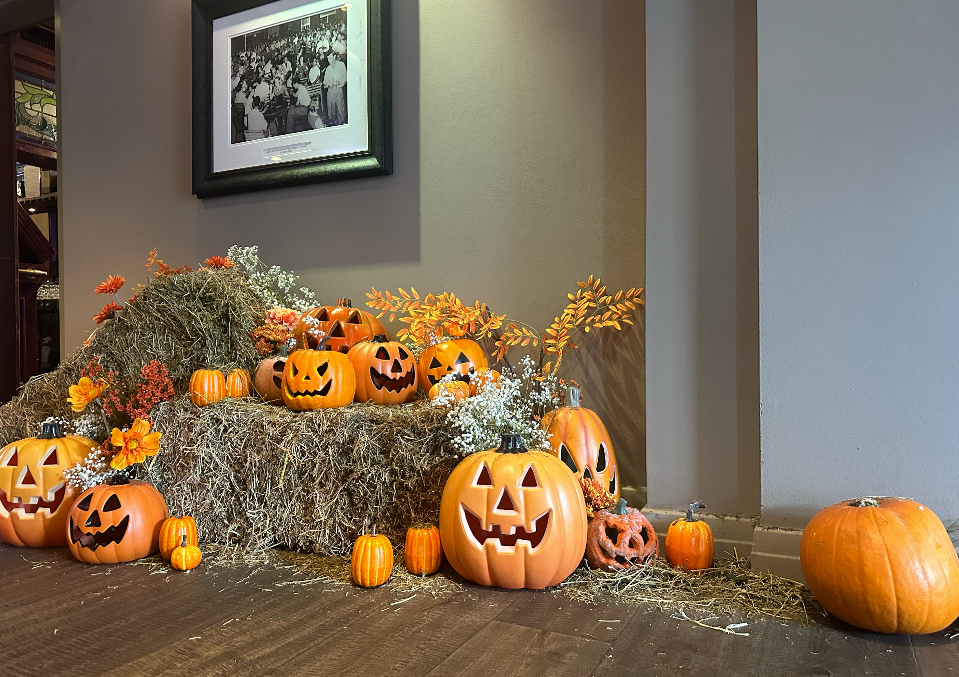 Halloween x Solotel