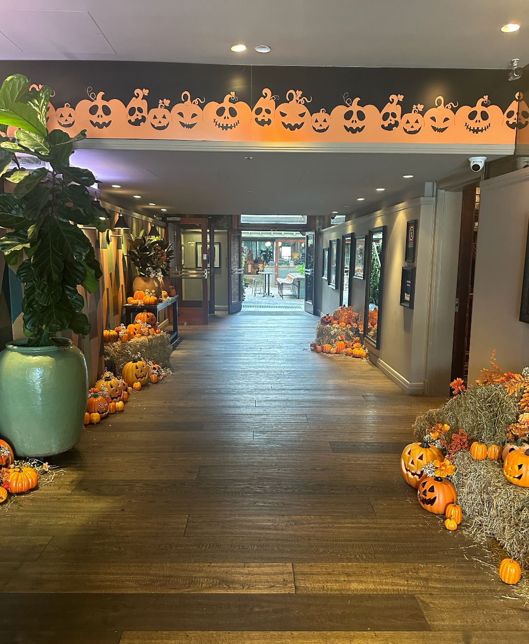 Halloween x Solotel