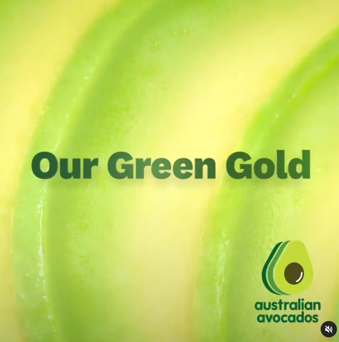 Australian Avocados