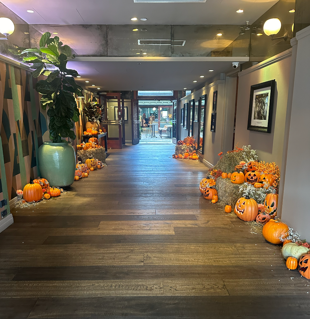 Halloween x Solotel