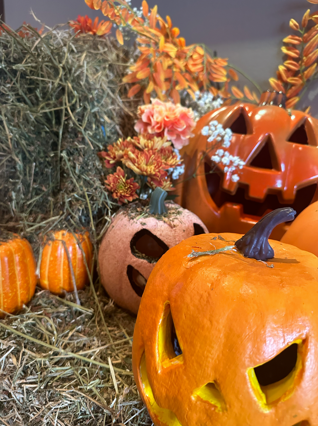 Halloween x Solotel