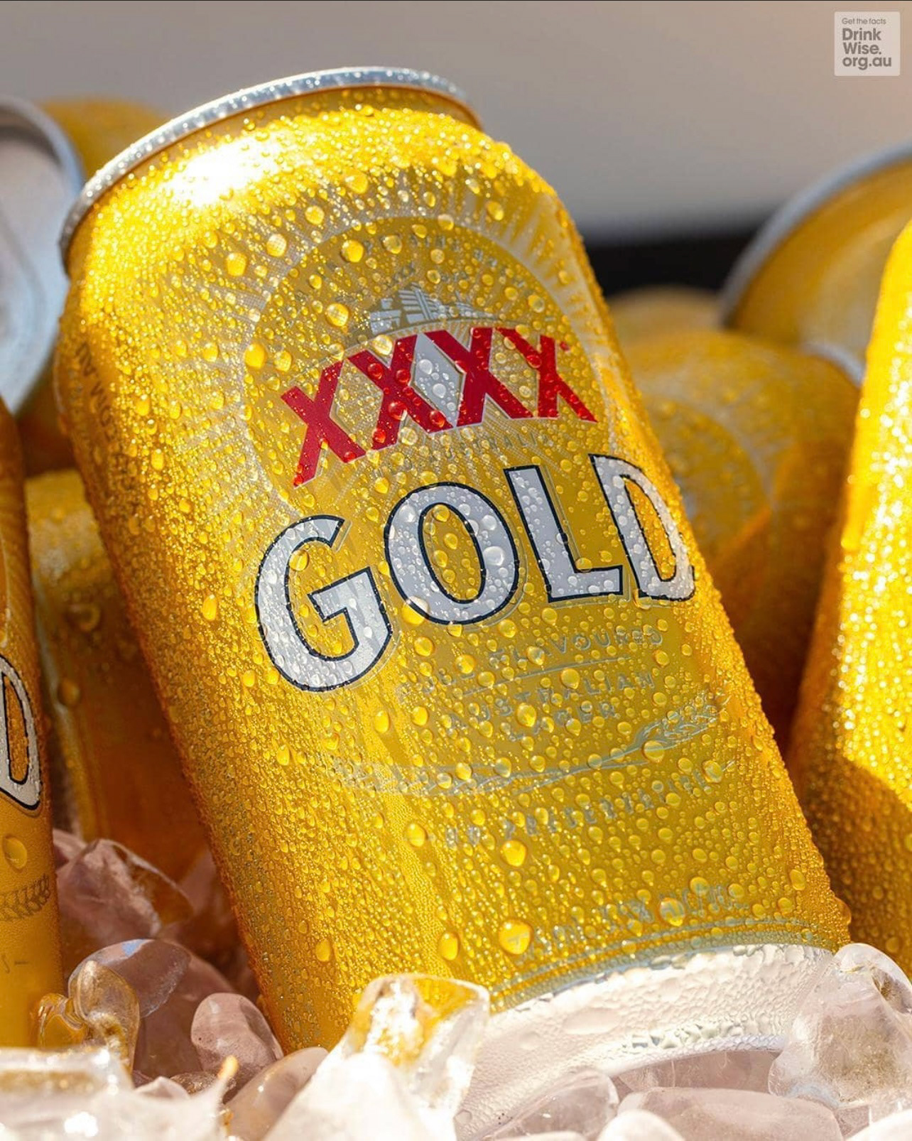 XXXX GOLD