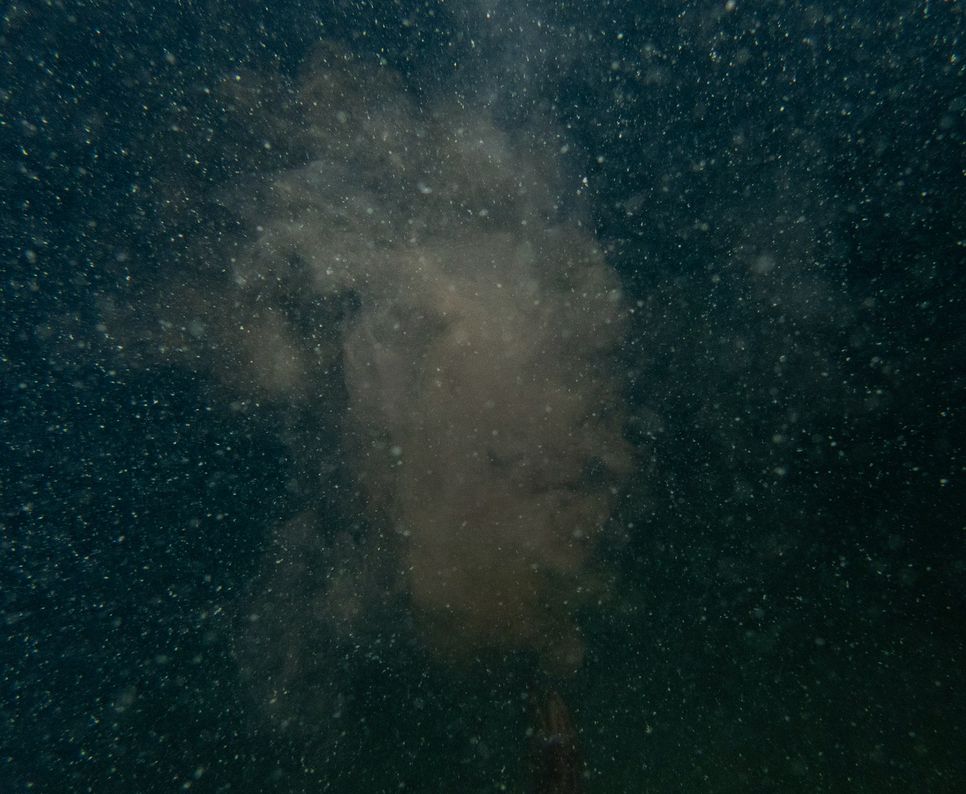 Squid ink cloud