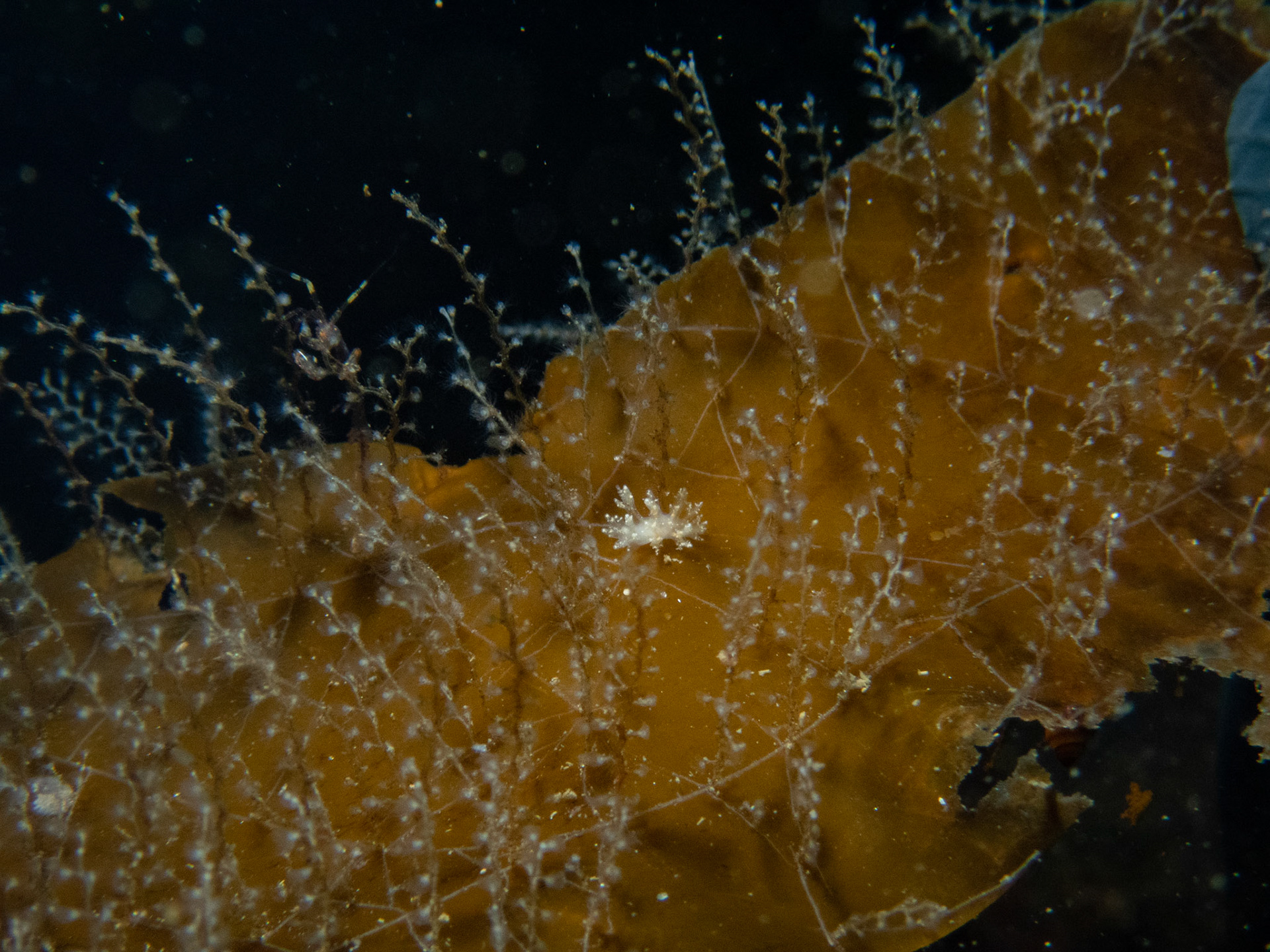 Not a particularly interesting shot, but I like the sense of scale it gives for some of the other shots