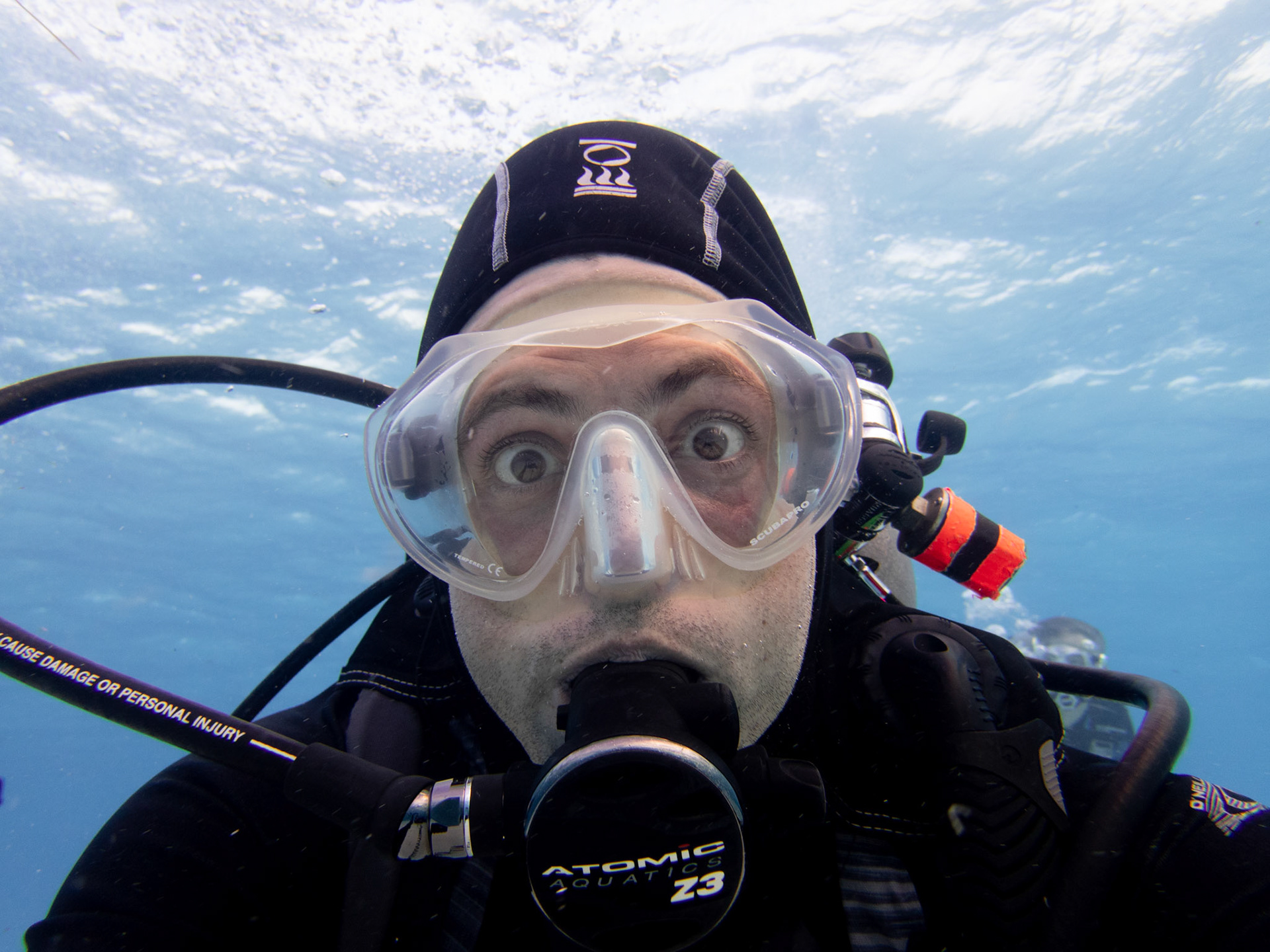 Weberfish