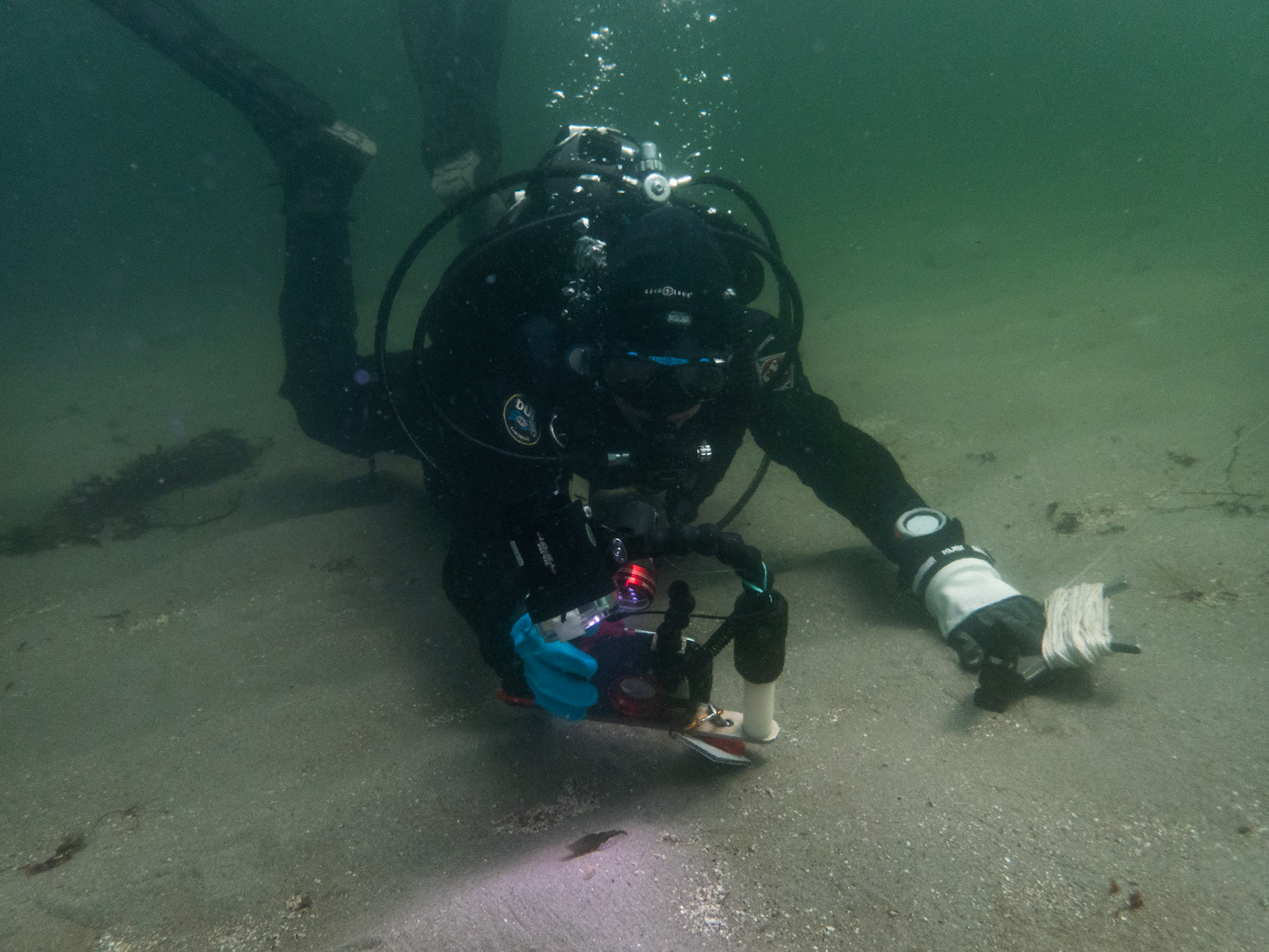 Andrea snapping the perfect shot of the Facelina bostoniensis
